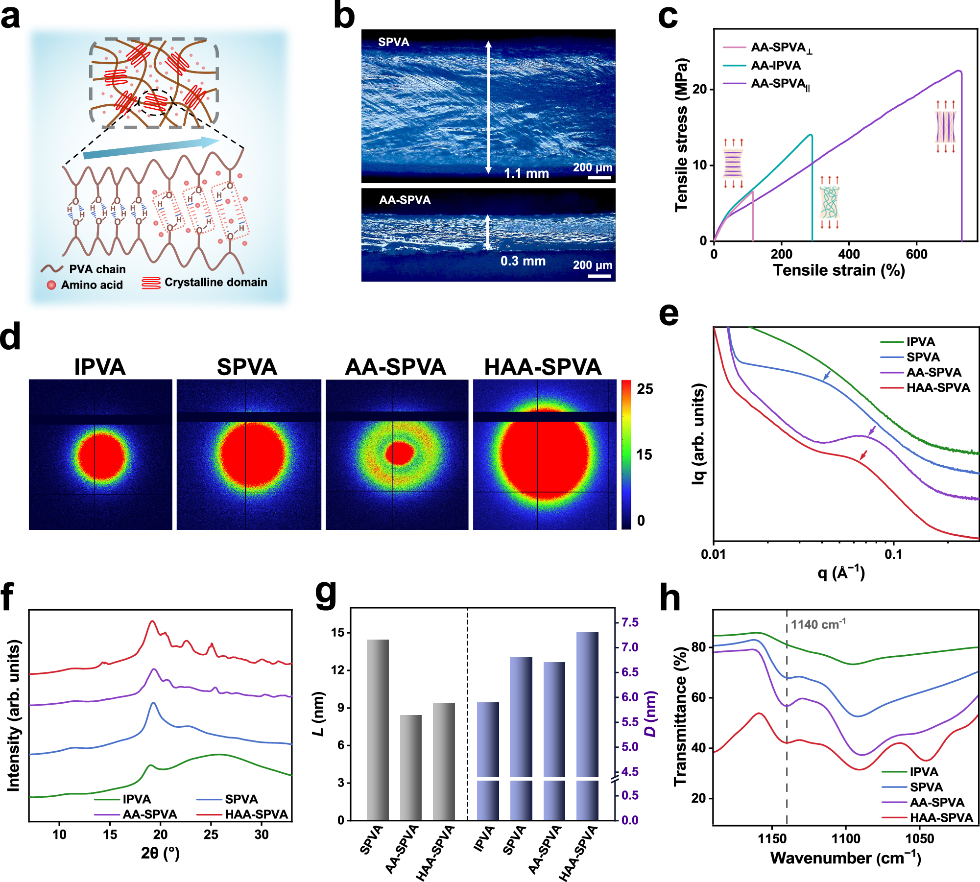 Fig. 4: Multiscale toughening mechanisms of HAA-SPVA hydrogel.