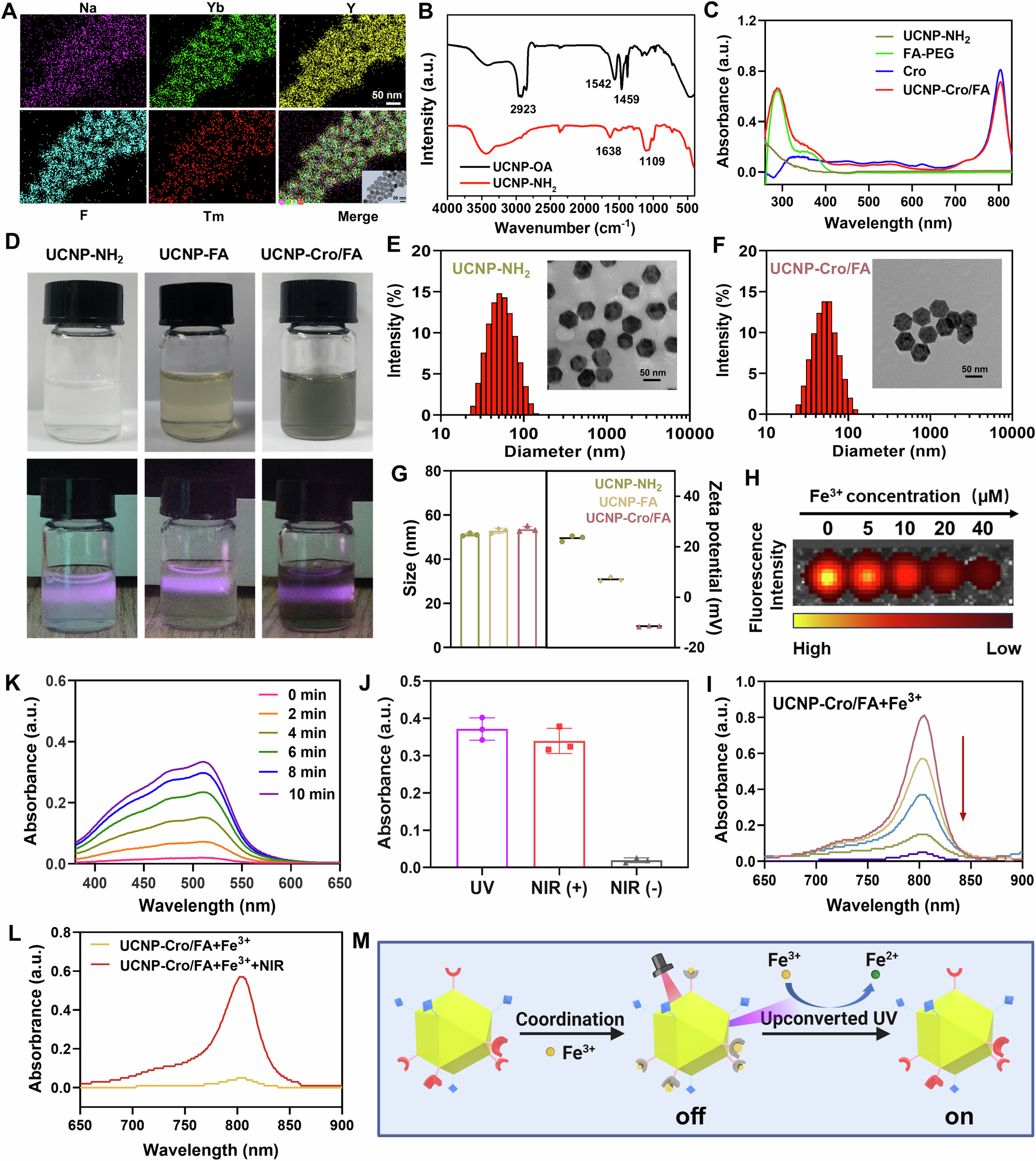Fig. 2: Preparation and characterization of UCNP-Cro/FA.