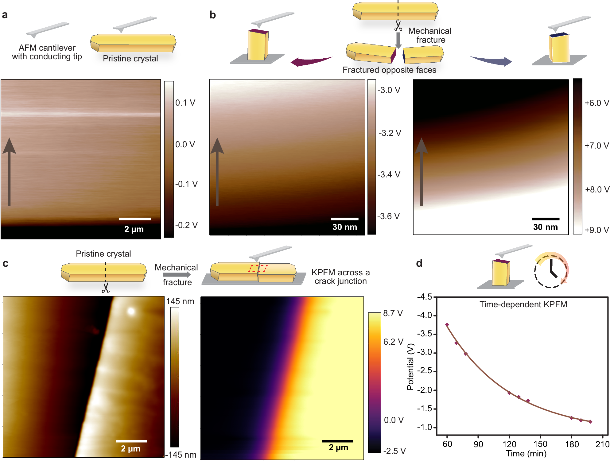 Fig. 4: Quantitative assessment of surface potentials on crystal 1.