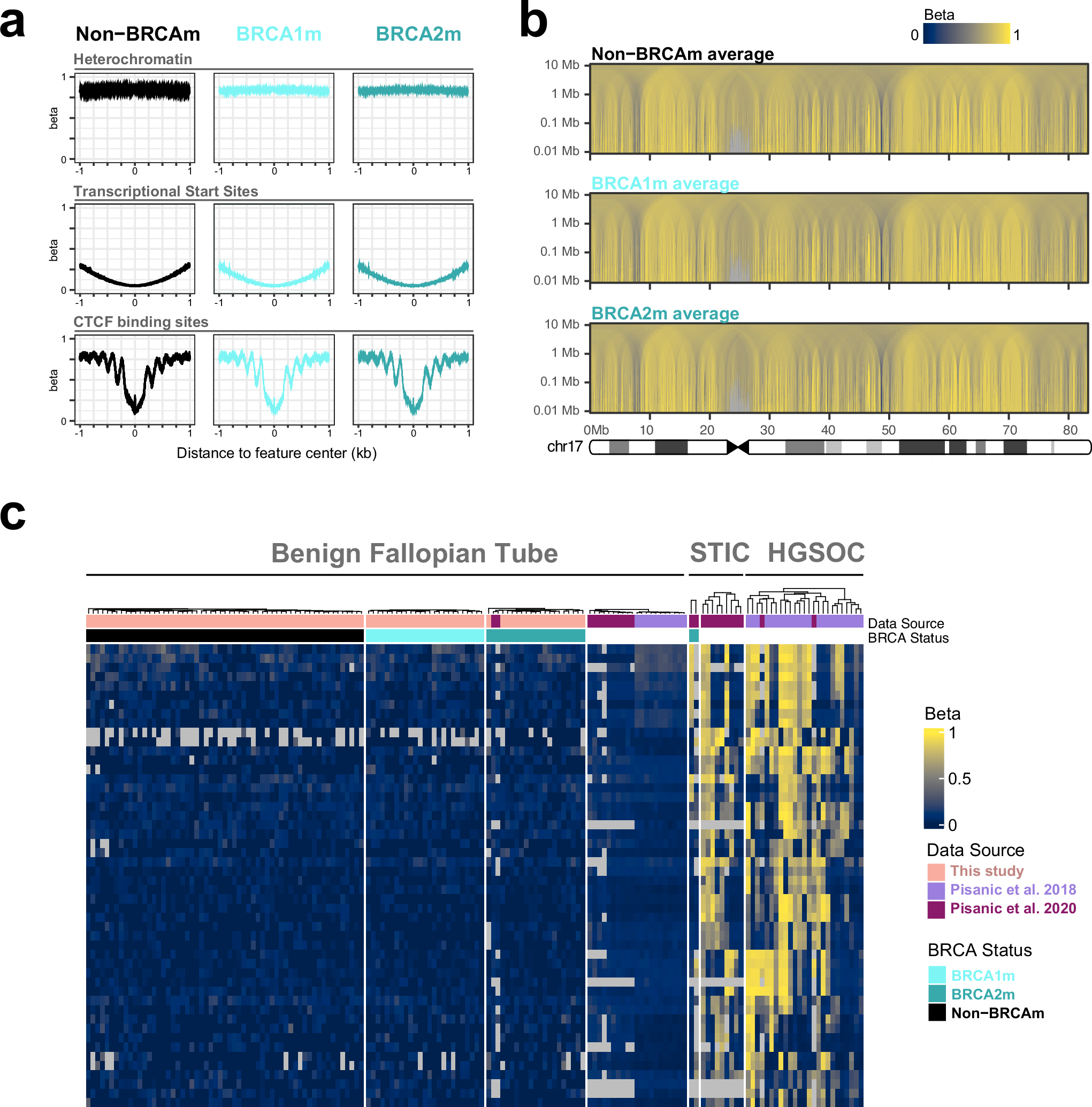 Fig. 2: DNA methylation profiles of the cohort.