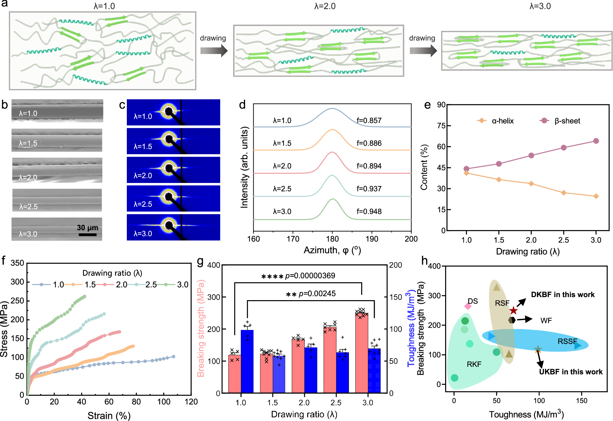 Fig. 3: Drawing-induced secondary structure rearrangement and mechanical reinforcement of DKBFs.