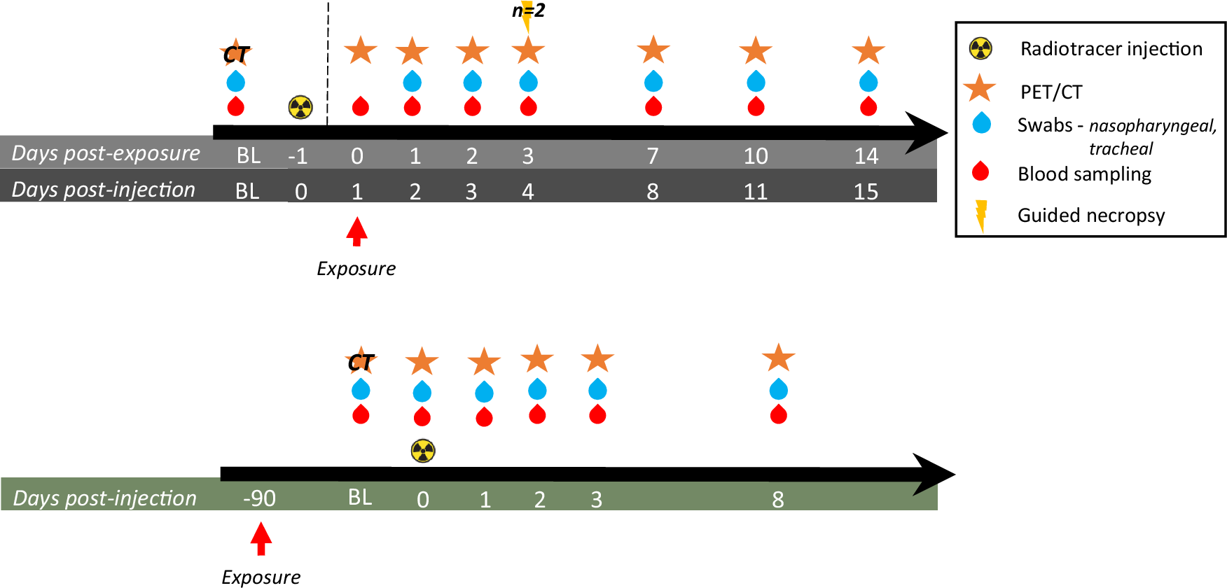 Fig. 2: Experimental design.