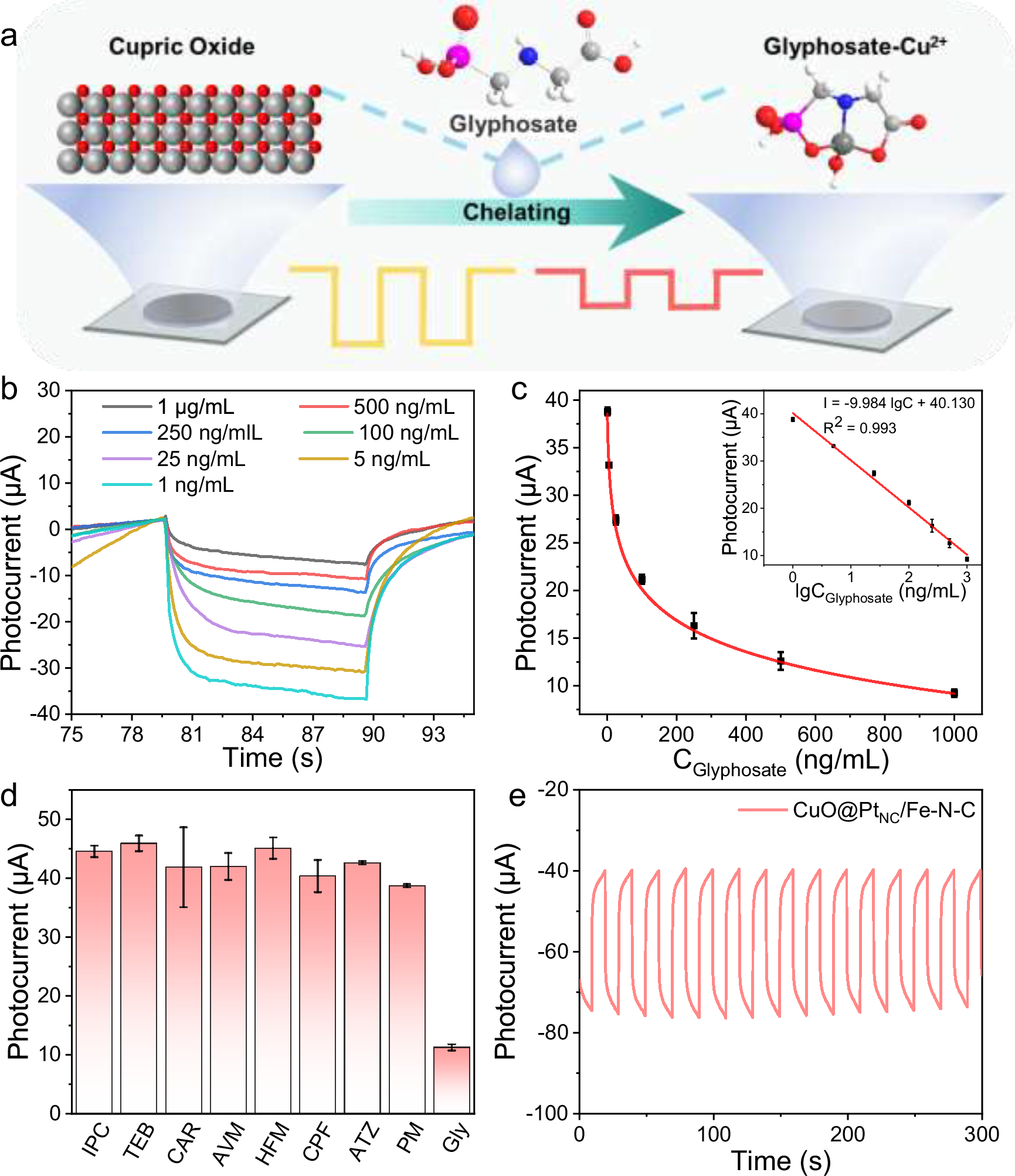 Fig. 6: Construction of a PEC sensing platform for glyphosate detection.