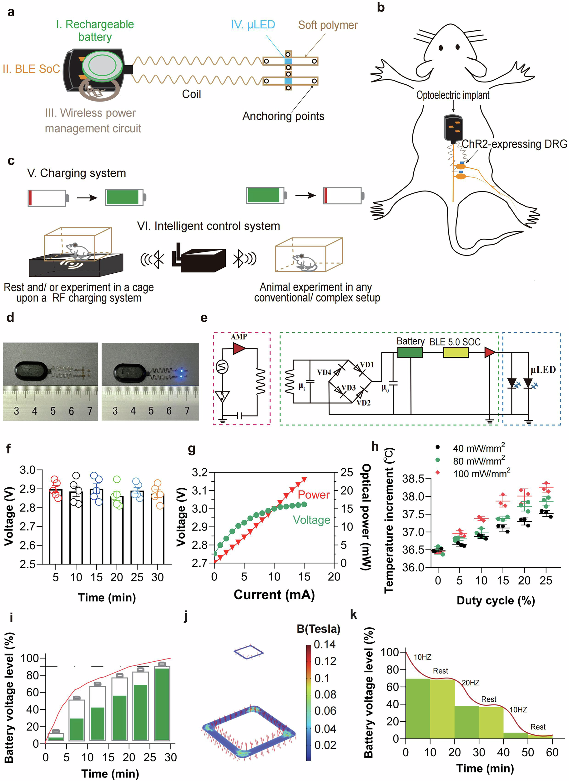 Fig. 3: Design of a wireless, rechargeable, fully implantable OS device for stimulating mouse DRG.