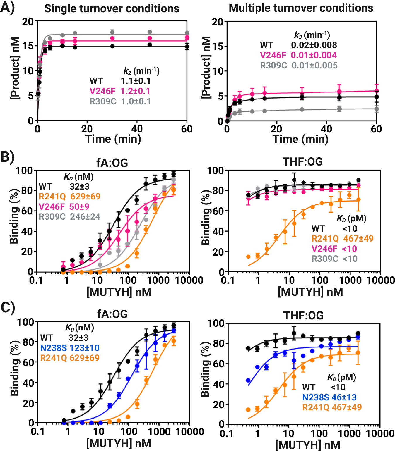 Fig. 4: Kinetics of adenine glycosylase activity and dissociation constants, Kd.