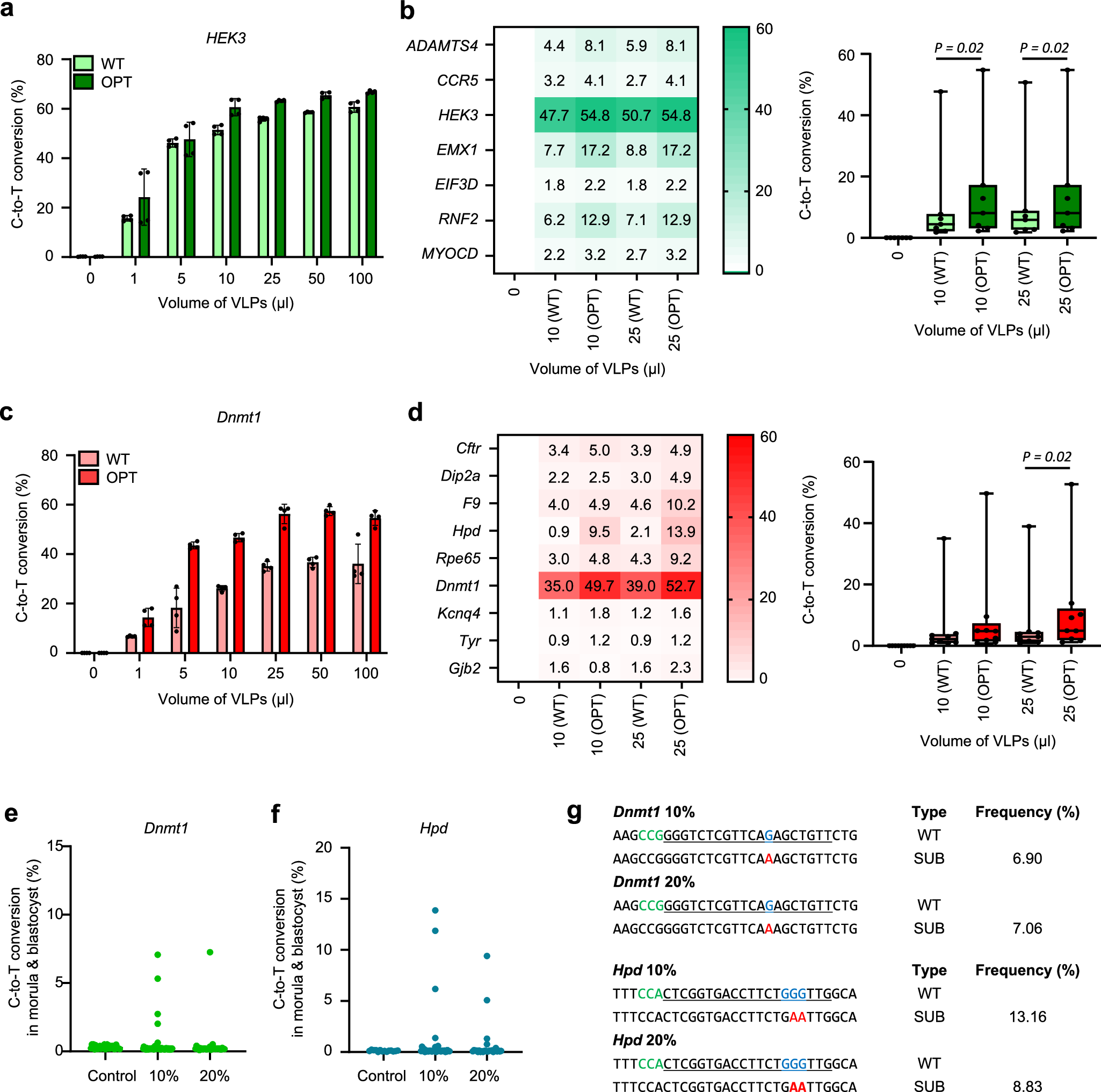 Fig. 4: Base editing using CBE packaged in VLPs in cell lines and mouse zygotes.