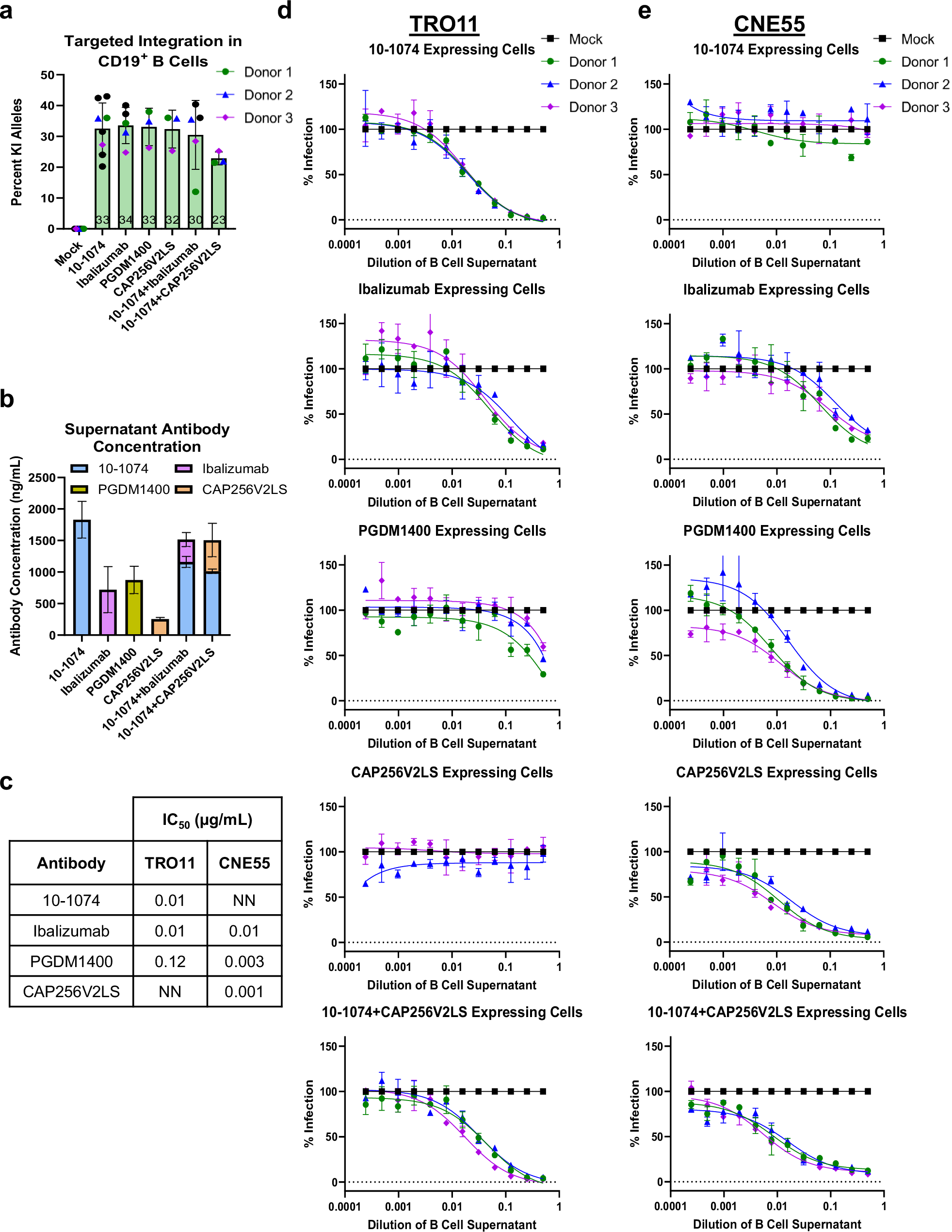 Fig. 5: Antibody engineered B cells secrete functional linker antibodies.