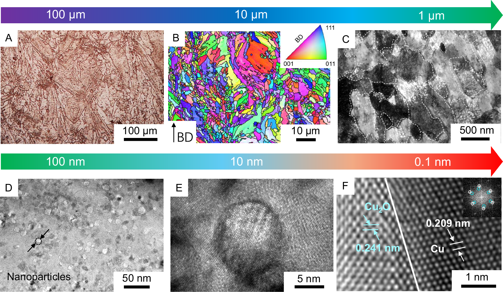 Fig. 2: Microstructure of ODS Cu.