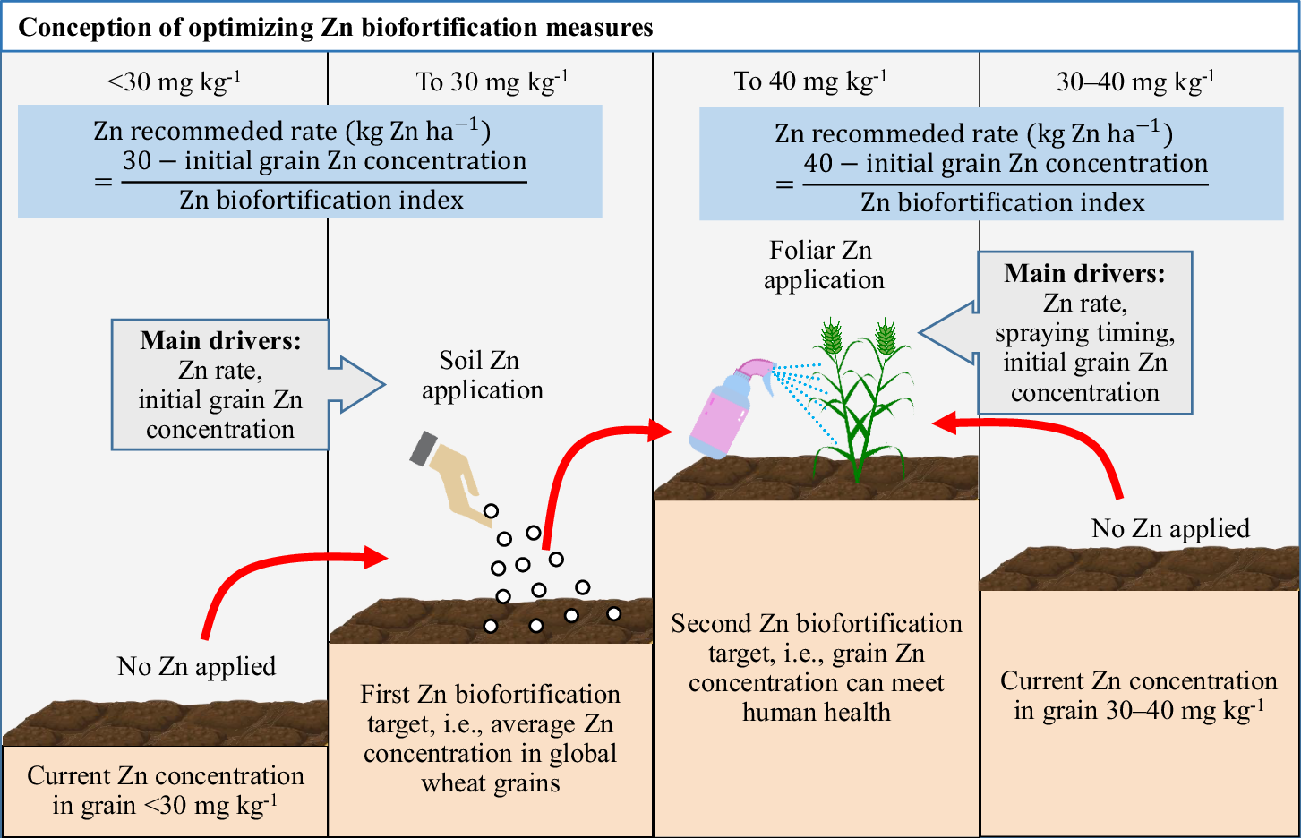 Fig. 7: Conception of optimizing Zn agronomic biofortification measures in wheat grain.