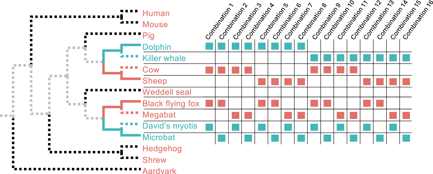 Fig. 6: Echolocation analysis.