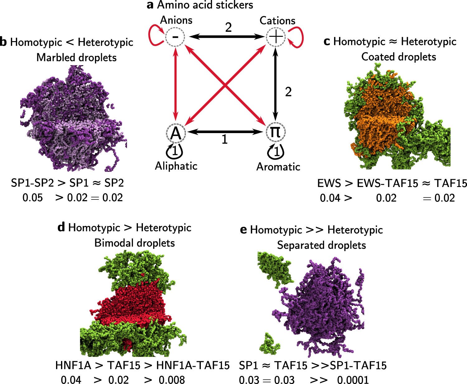 Fig. 7: Summary of condensate interactions.