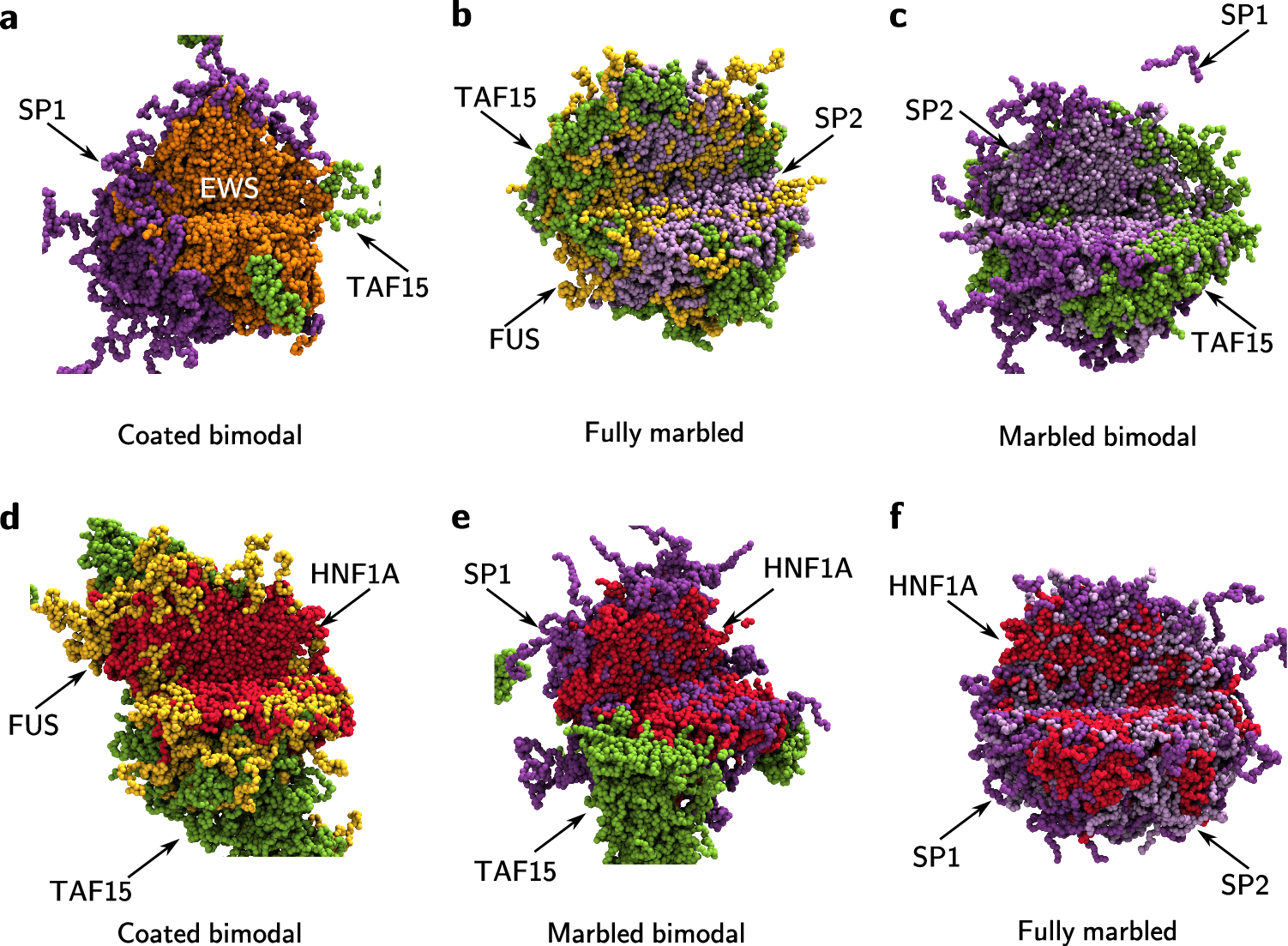 Fig. 8: Simulation images for equal-component ternary TF mixtures.
