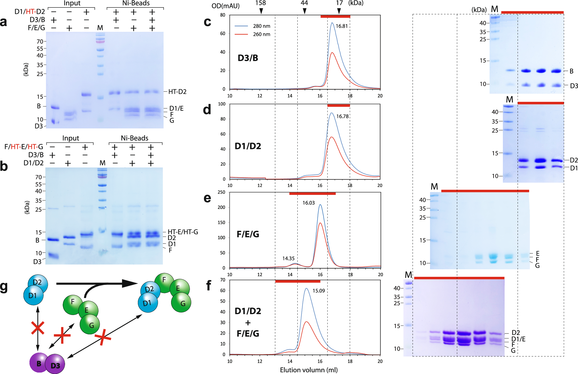 Fig. 2: Oligomerization states of 3 Sm subcomplexes from S. cerevisiae and their interactions.