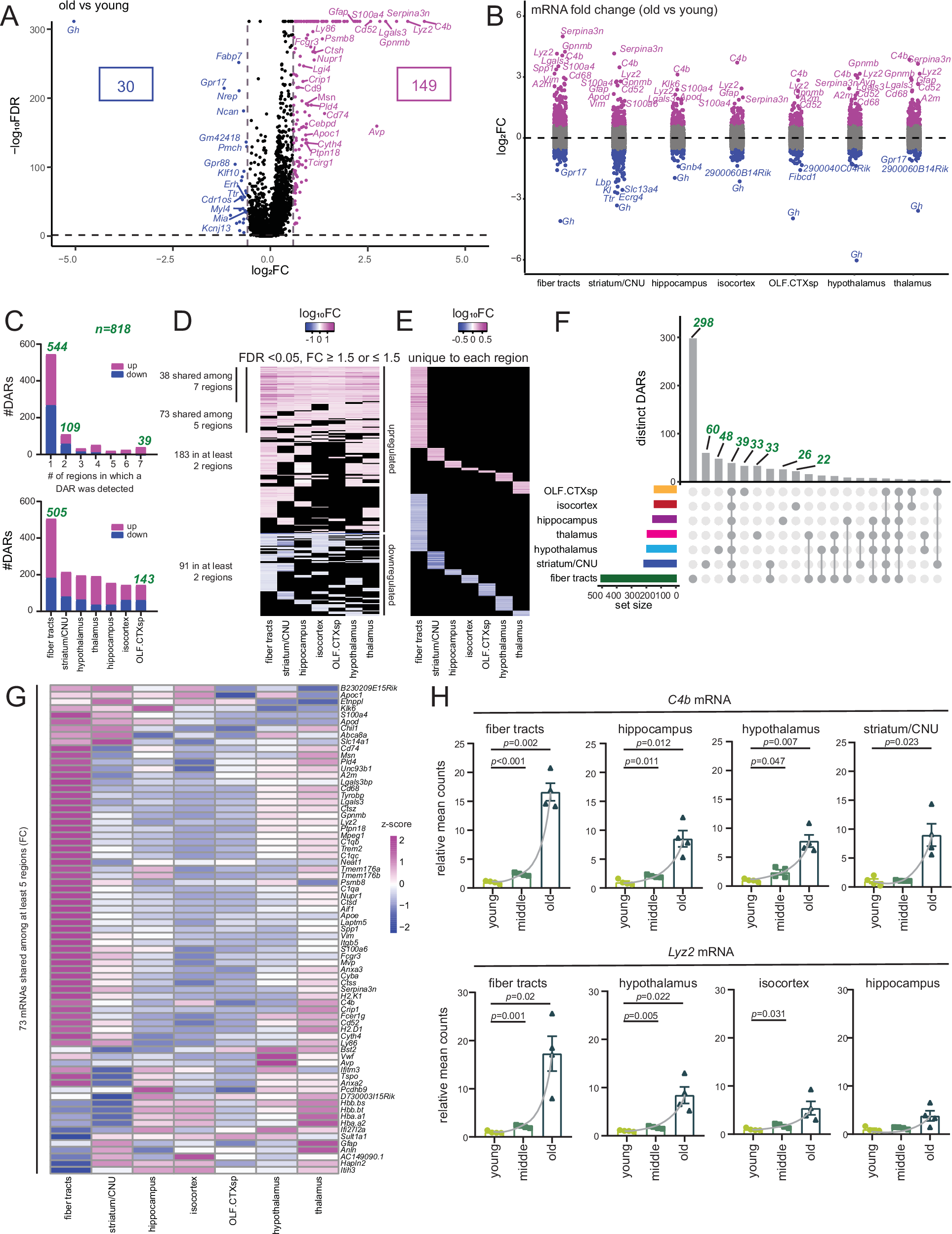 Fig. 2: Anatomical regions of the brain display both shared and unique sets of age-correlated mRNAs.