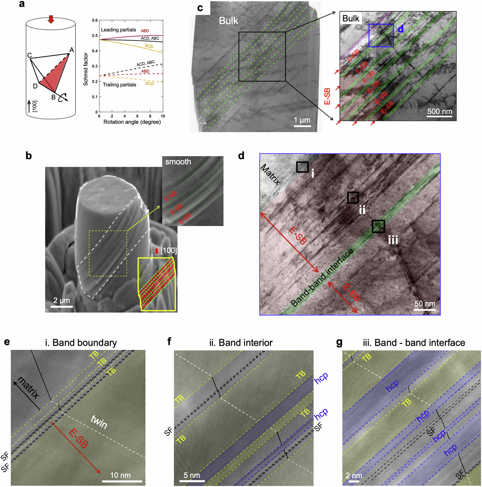 Fig. 2: Extended slip band (E-SB) and the microscopic and atomic structures.