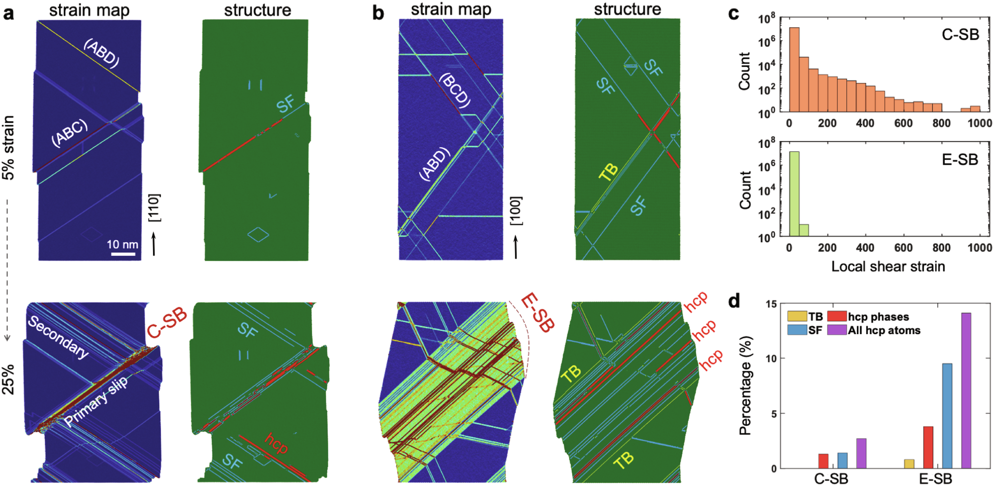 Fig. 3: Local plastic strain progression and microstructural evolution.