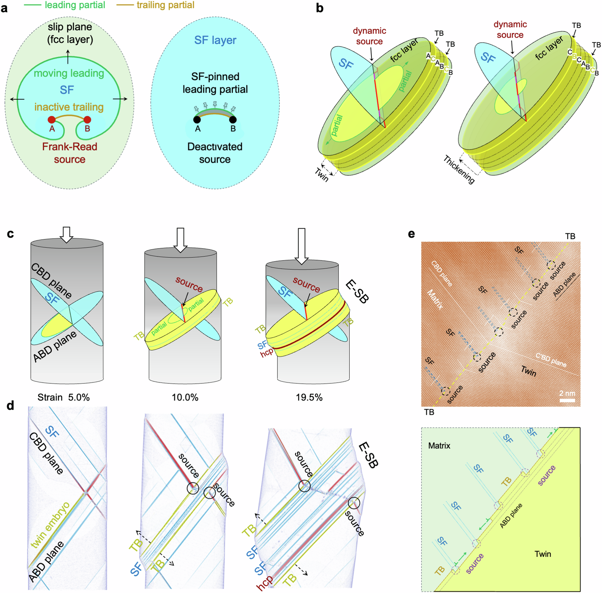 Fig. 5: Dislocation mechanisms driving extended slip band formation.