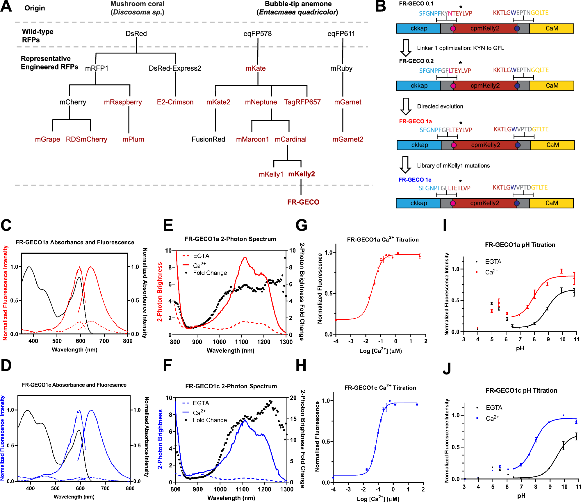 Fig. 1: Engineering and characterization of FR-GECO1a and FR-GECO1c.