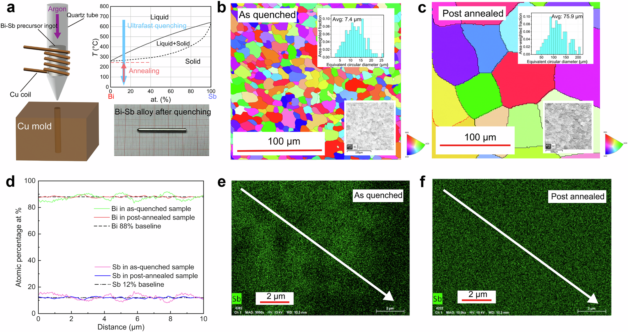 Fig. 3: Synthesis and microstructural characterization of Bi0.88Sb0.12 polycrystals.