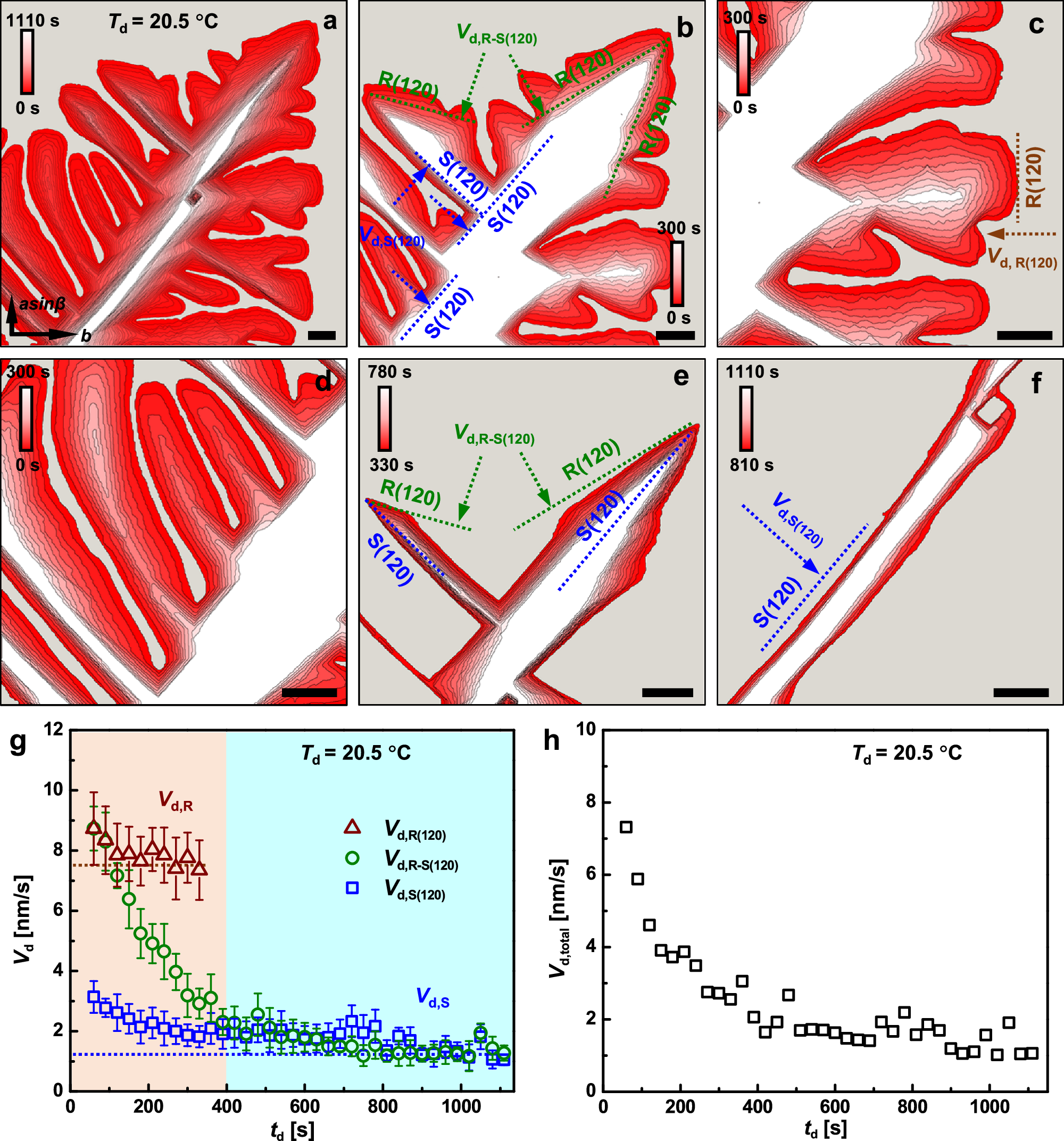 Fig. 2: Temporal evolution of morphology in PEO lamellar crystals induced by selective dissolution and the dissolution kinetics of PEO lamellar crystals.