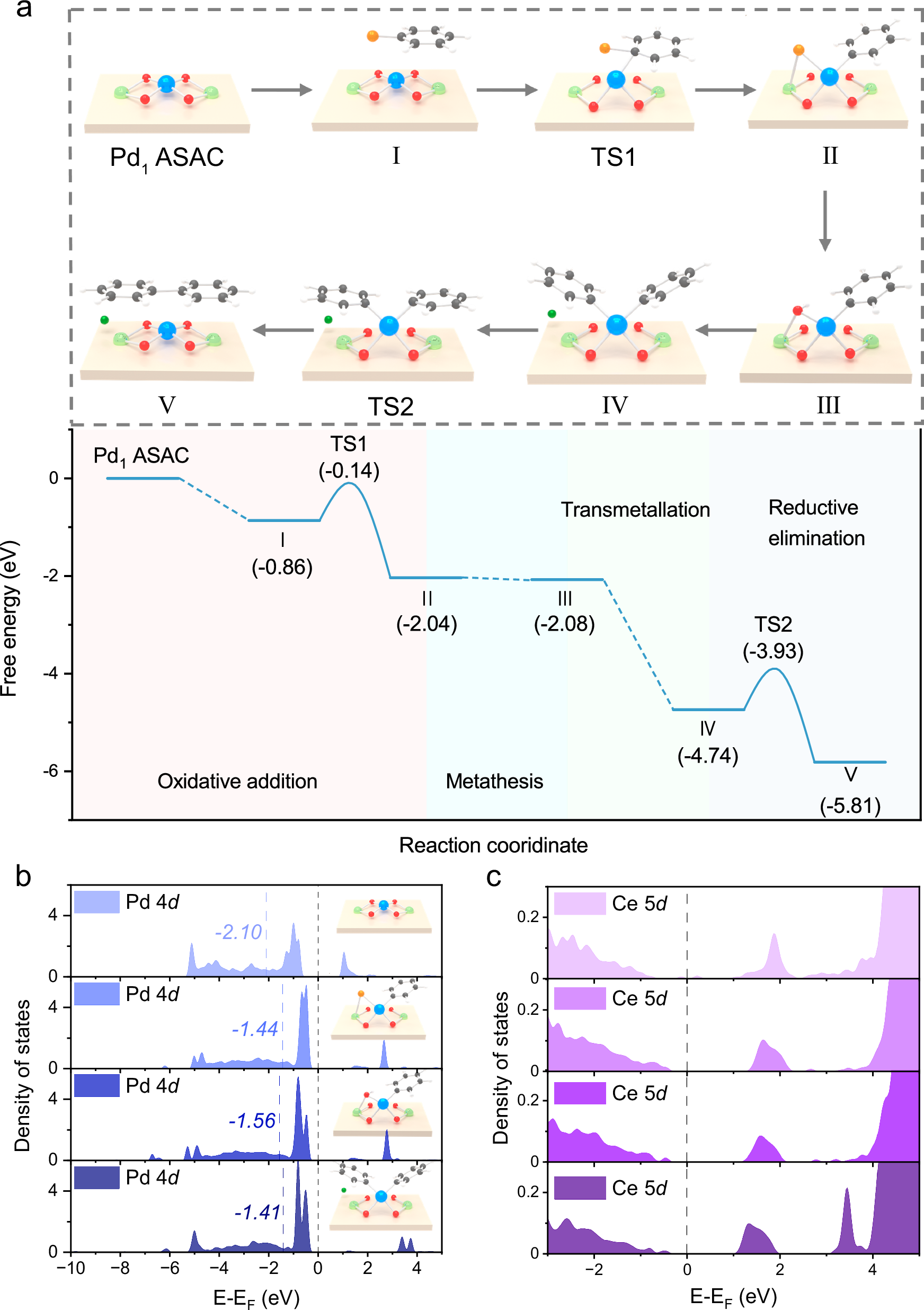 Fig. 4: Mechanistic investigation of Suzuki cross-coupling over Pd1 ASAC.