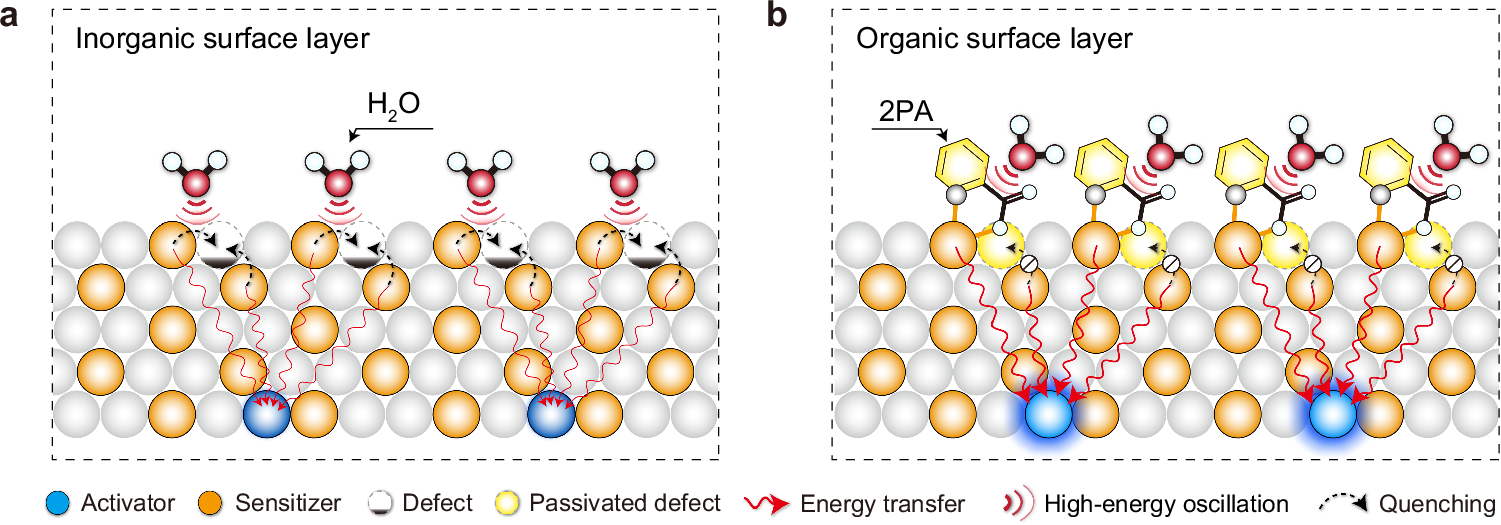 Bright upconversion over extended temperatures enabled by an 