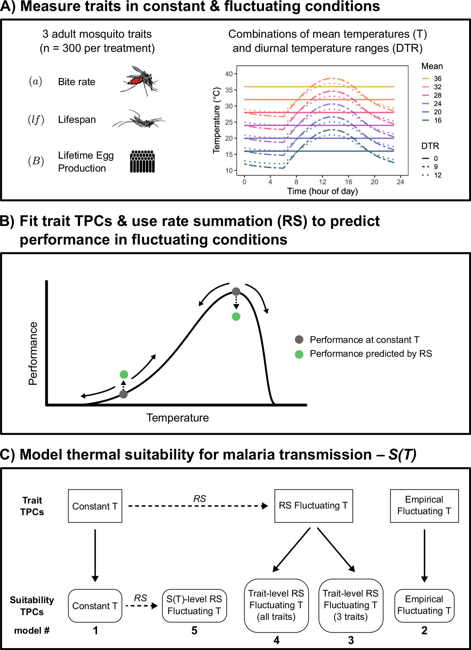 Fig. 1: Conceptual figure summarizing the study.