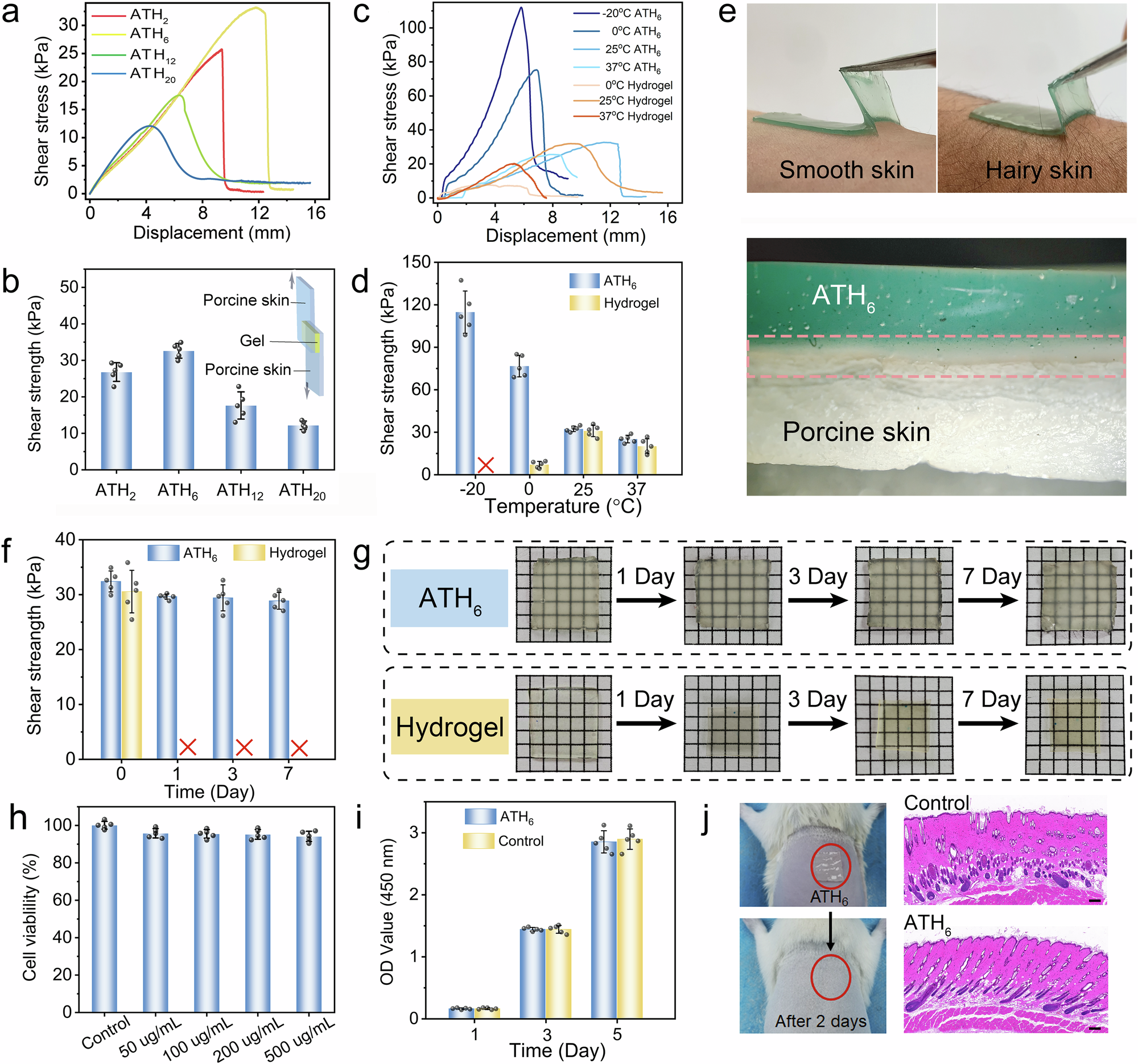 Fig. 3: The adhesive performance of ATH6 eutectogel.