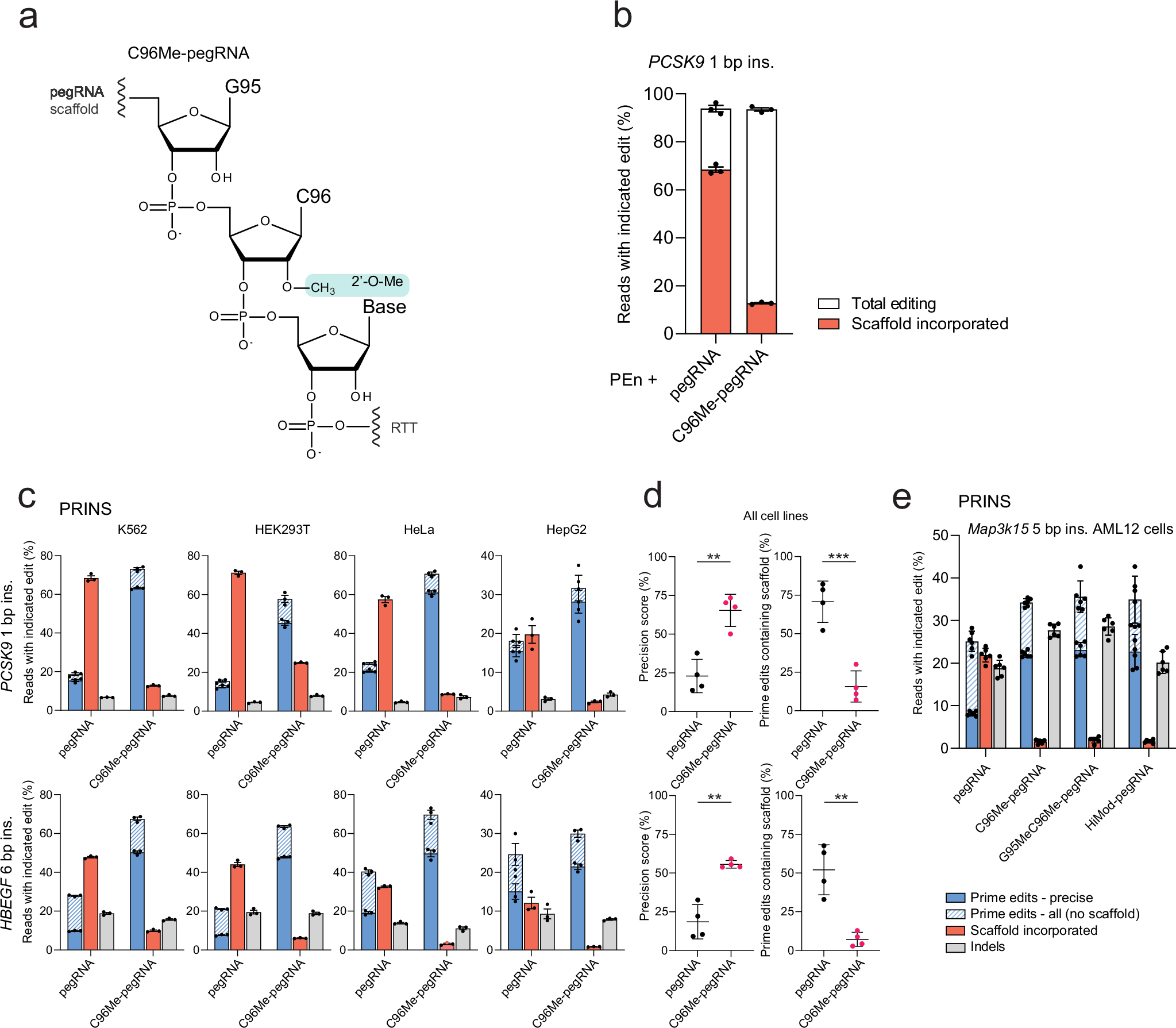 Fig. 4: 2’-O-methylation of C96 in the pegRNA scaffold precisely blocks reverse transcription by M-MLV RT.