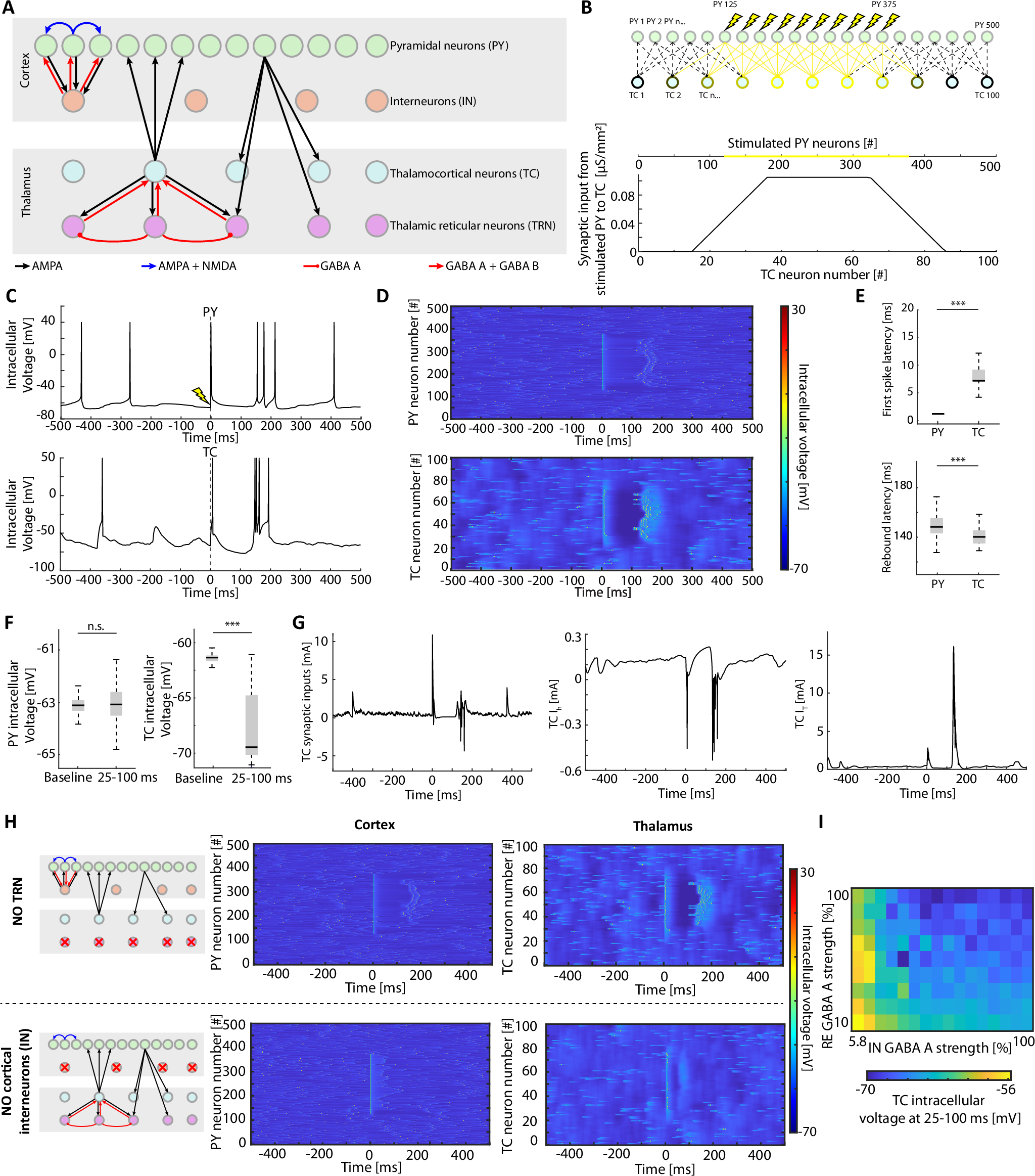 Fig. 4: Biophysically realistic simulation of the response to cortical electrical stimulation recapitulates the in vivo results and provides potential explanatory mechanisms underlying the stereotyped evoked activity.
