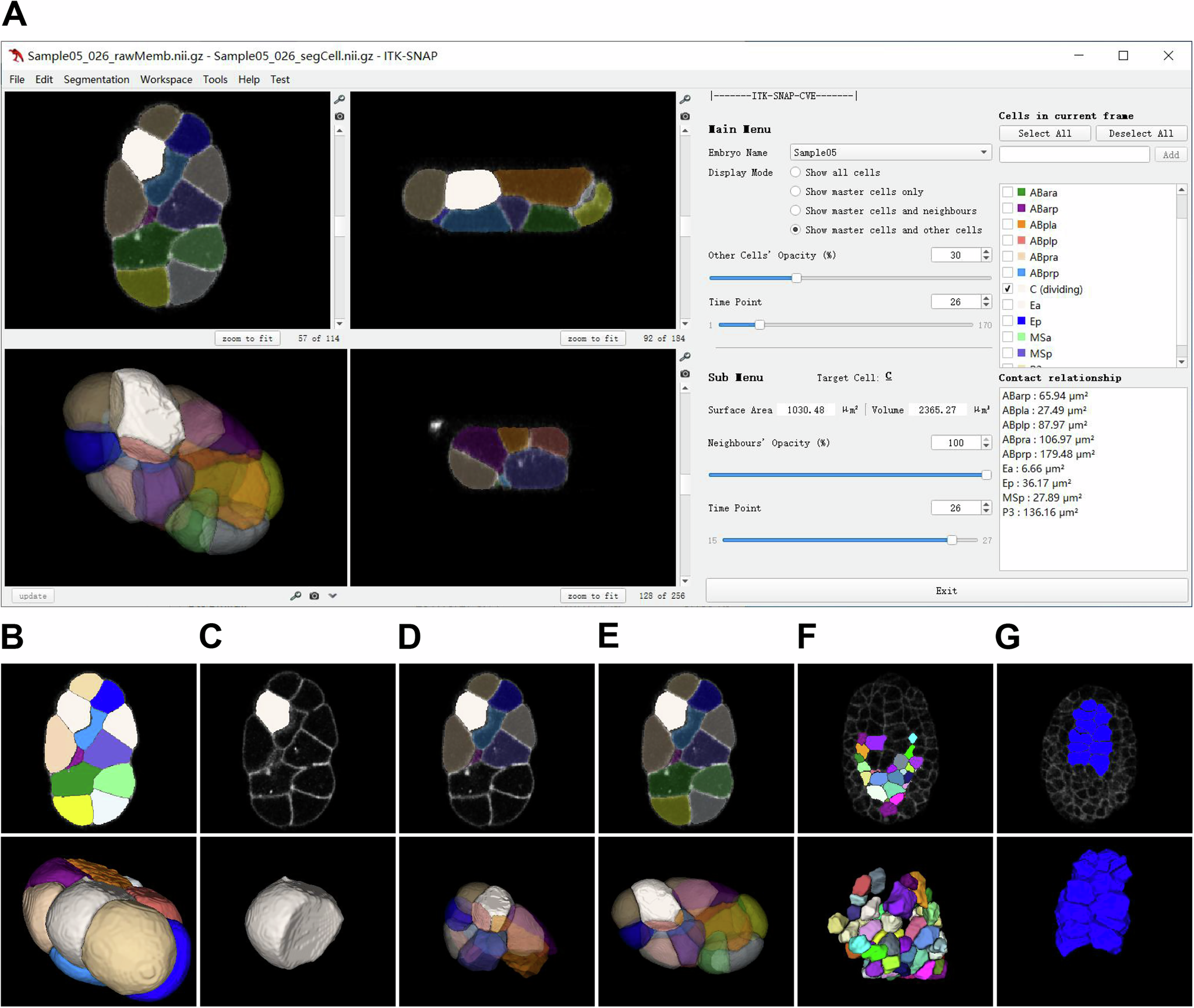 Fig. 8: ITK-SNAP-CVE: A customized software tool for the visualization and interactive analysis of embryonic cell morphologies.