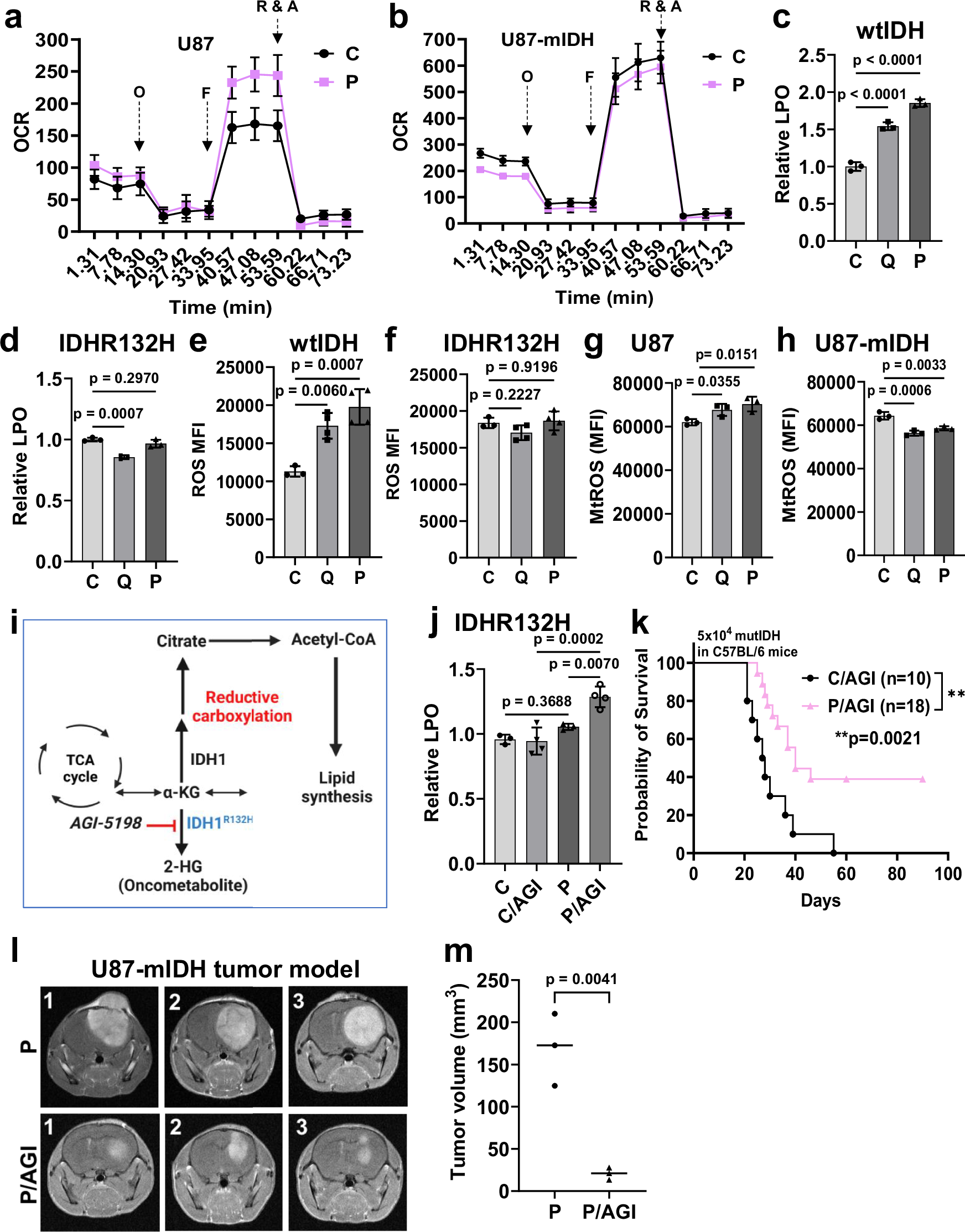 Fig. 9: Inhibition of reductive carboxylation abrogates oHSV-induced immunity.