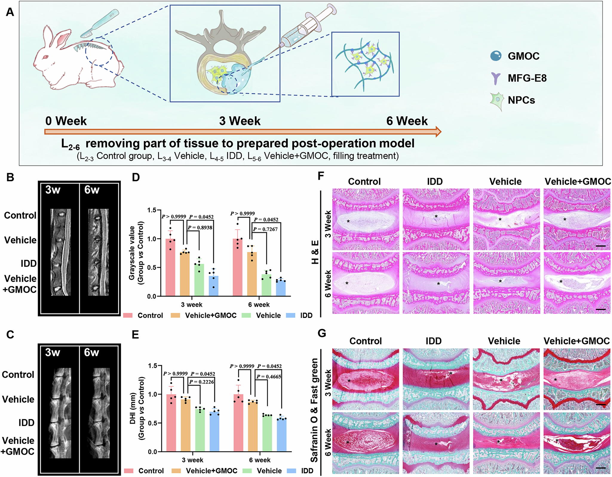 Fig. 7: Assessment of the therapeutic effect of GMOC in a post-operation IDD model in rabbits.