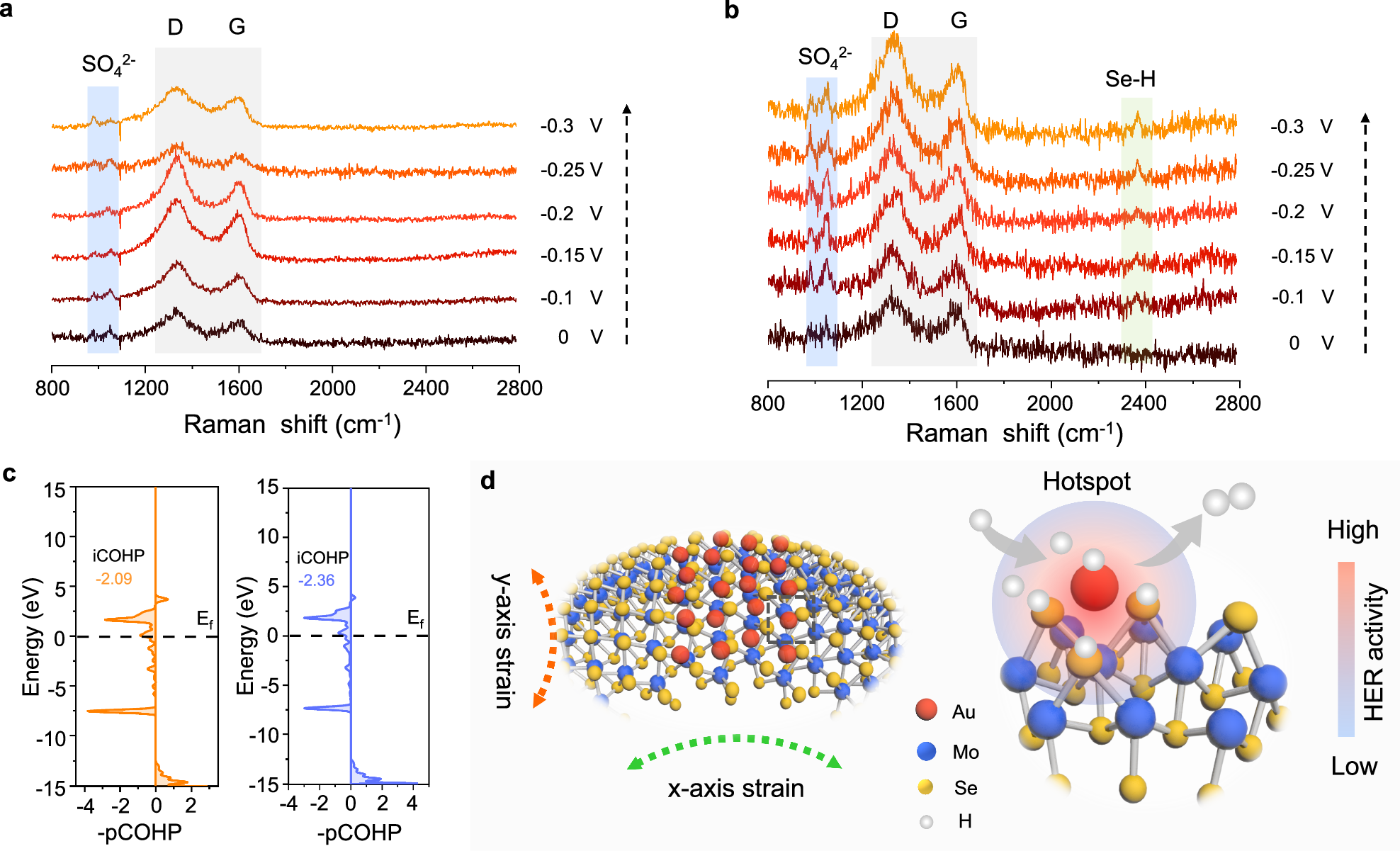 Fig. 6: In situ Raman and DFT calculations for HER mechanism.