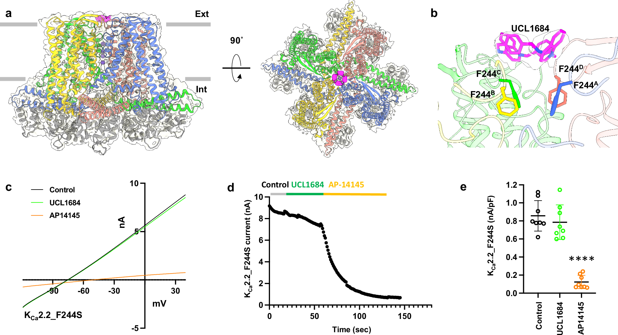 Fig. 5: Interactions of small molecule blocker UCL1684 with KCa2.2.