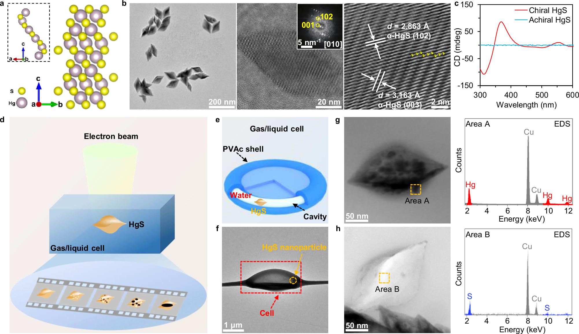 Filming evolution dynamics of Hg nanodroplets mediated at solid-gas and  solid-liquid interfaces by in-situ TEM | Nature Communications