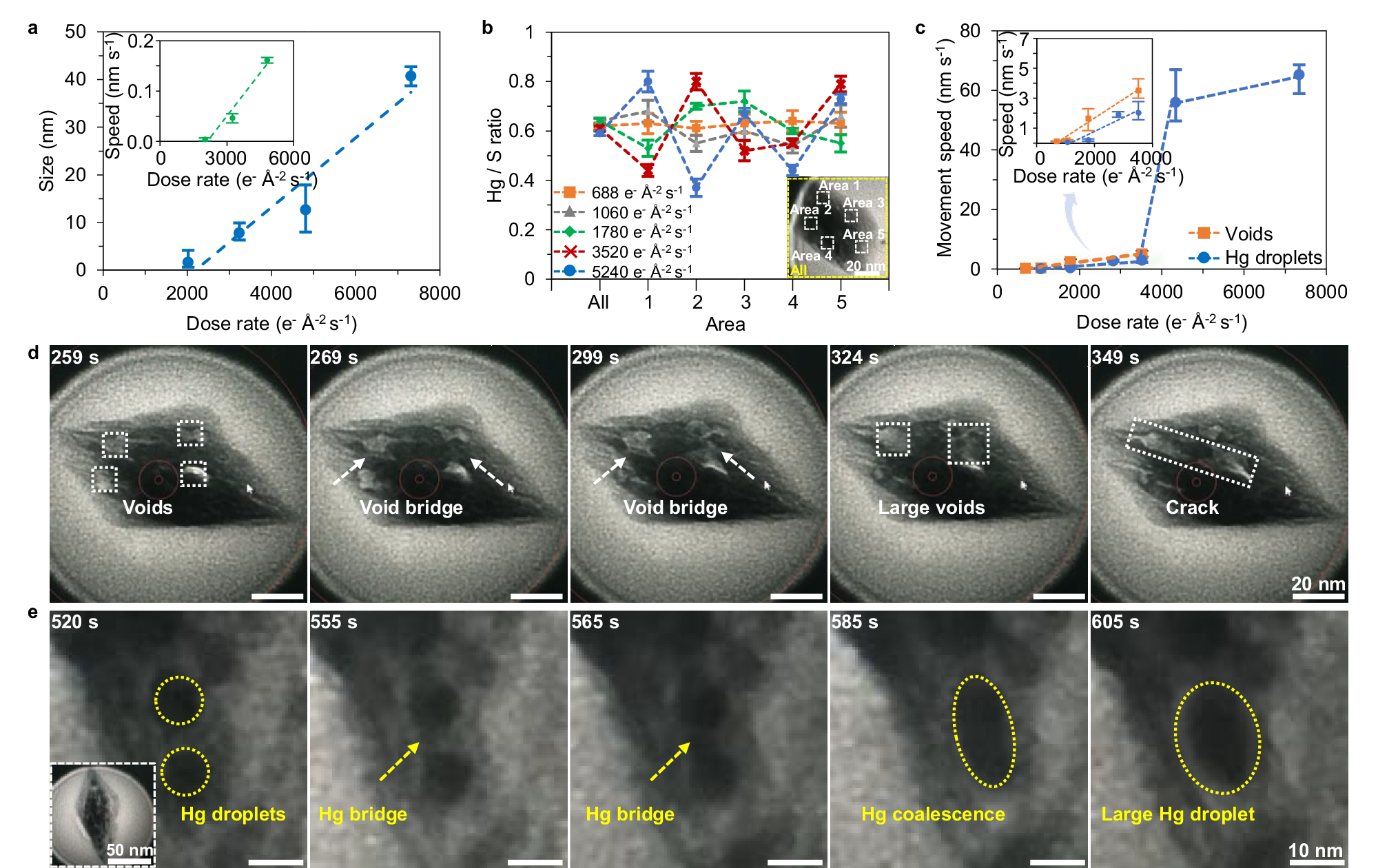 Fig. 3: Analyses of the behaviors from the voids and Hg nanodroplets.