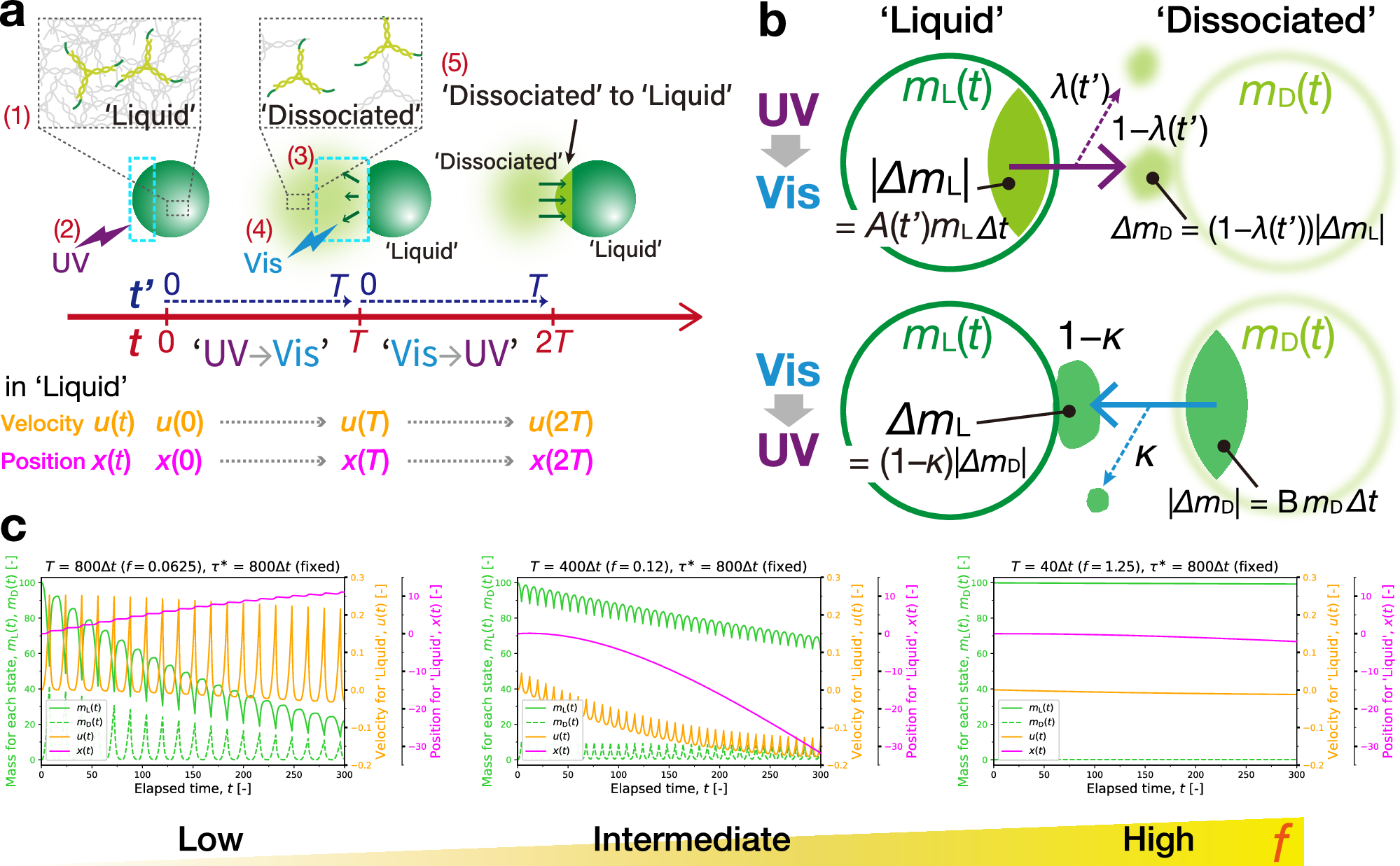 Fig. 8: Numerical simulations of the directional motion.