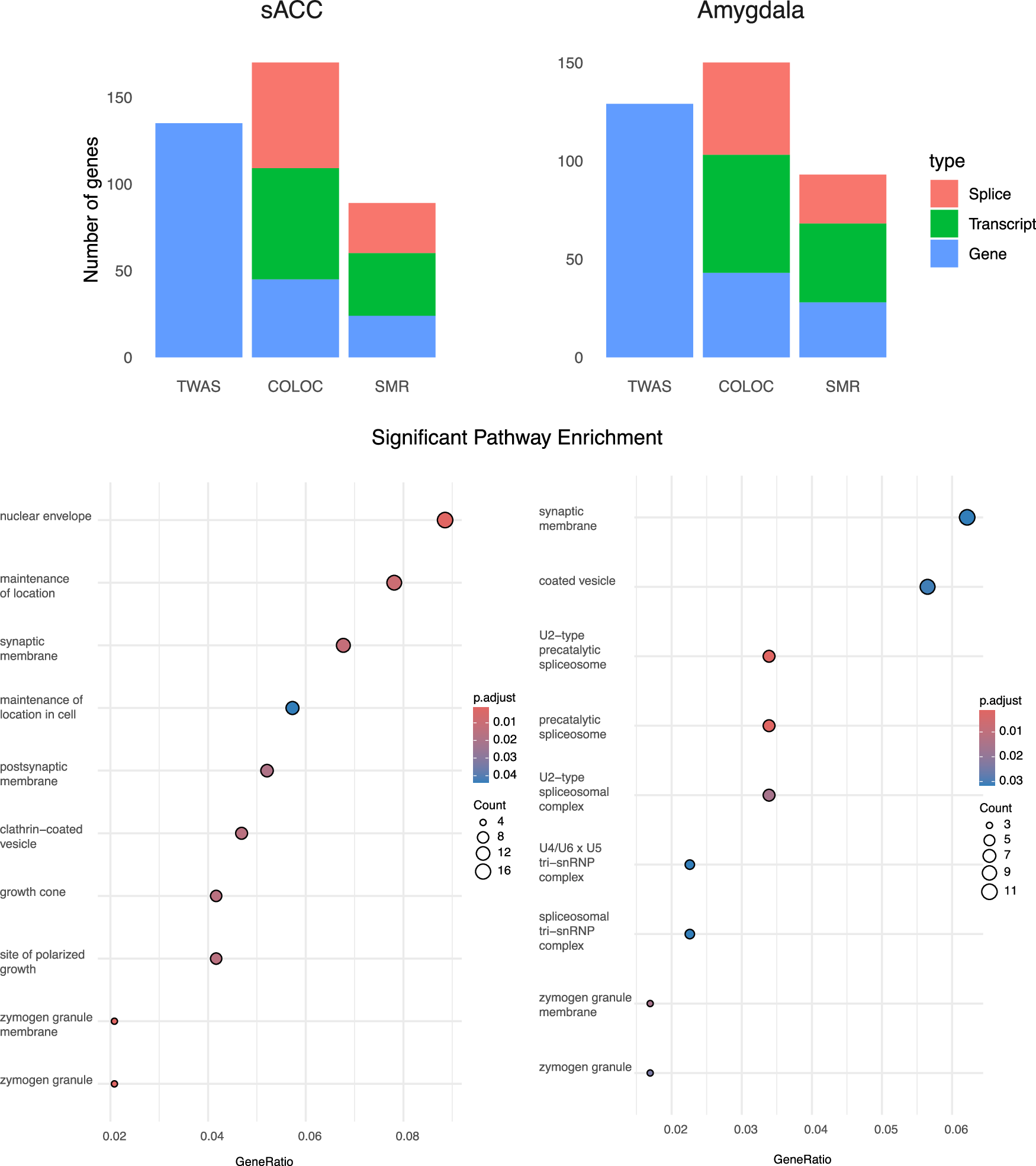 Fig. 4: Distribution of TWAS/QTL-associated features in MDD loci in the sACC and amygdala.