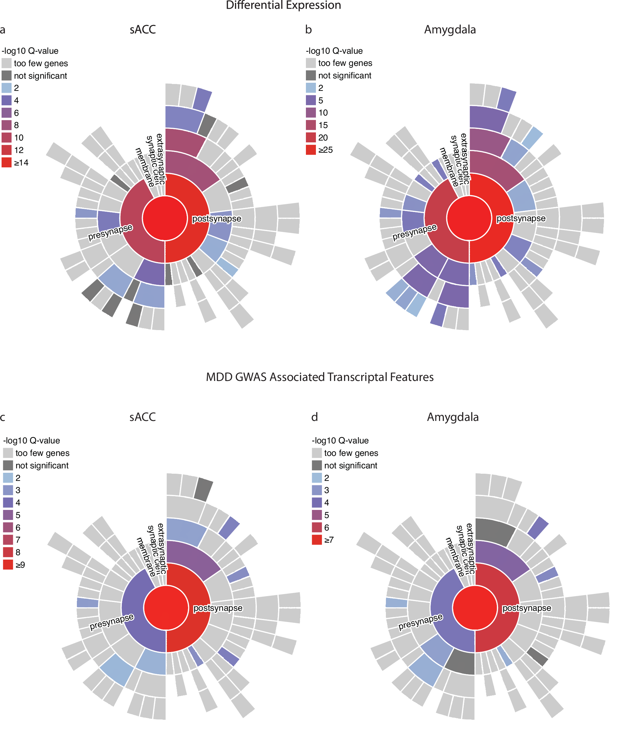 Fig. 6: Synaptic enrichment of differentially expressed and genetically mediated associations.