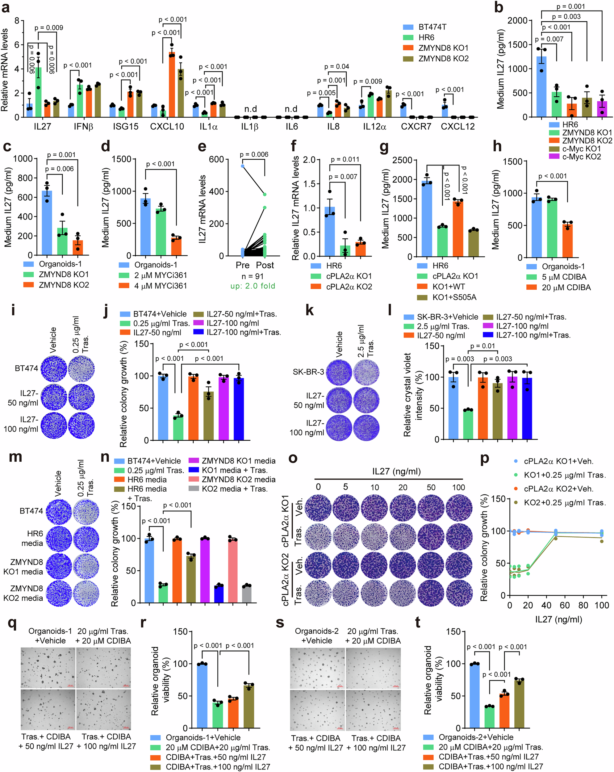 Fig. 8: cPLA2α induces IL-27 secretion leading to HER2 antibody resistance in HER2+ breast cancer.