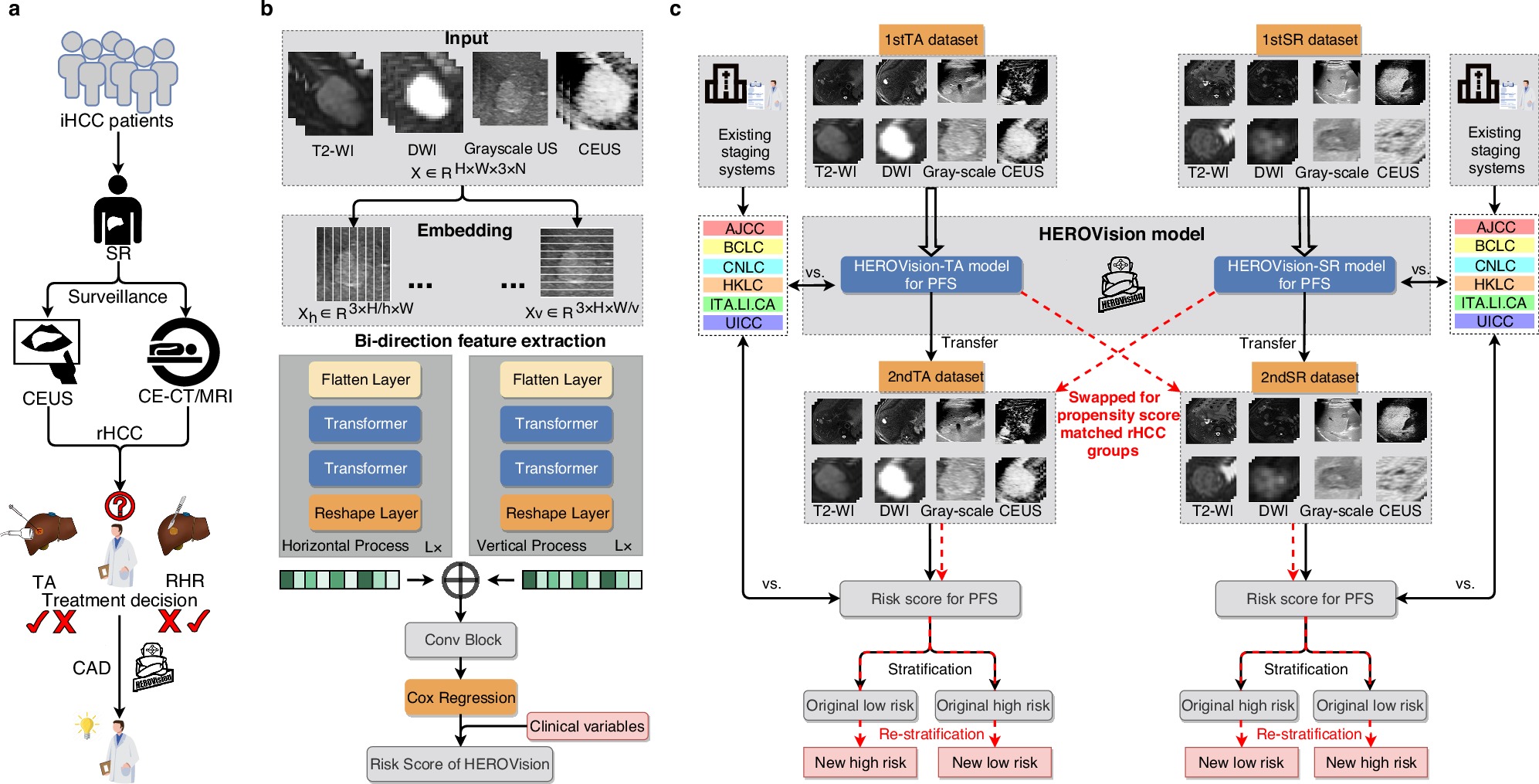 Fig. 2: Workflow of development and clinical application of HEROVision.