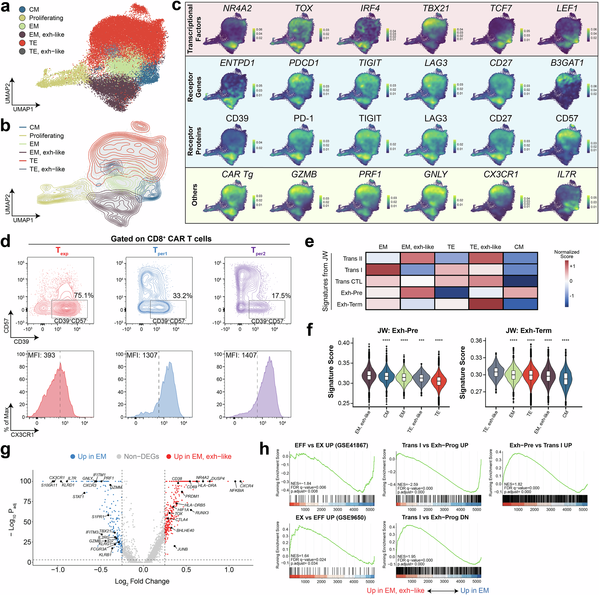 Fig. 6: Transcriptomic signatures of exhausted-like EM CD8+ CAR T cells.