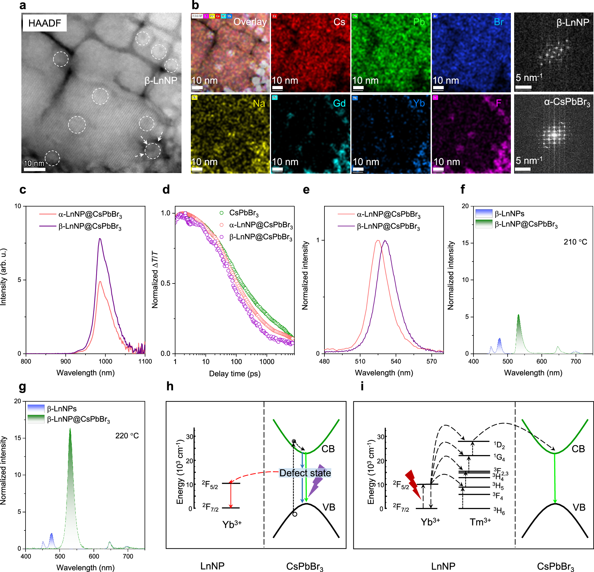 Fig. 2: Two way energy transfer in optically active LnNP@CsPbBr3 heterostructures.