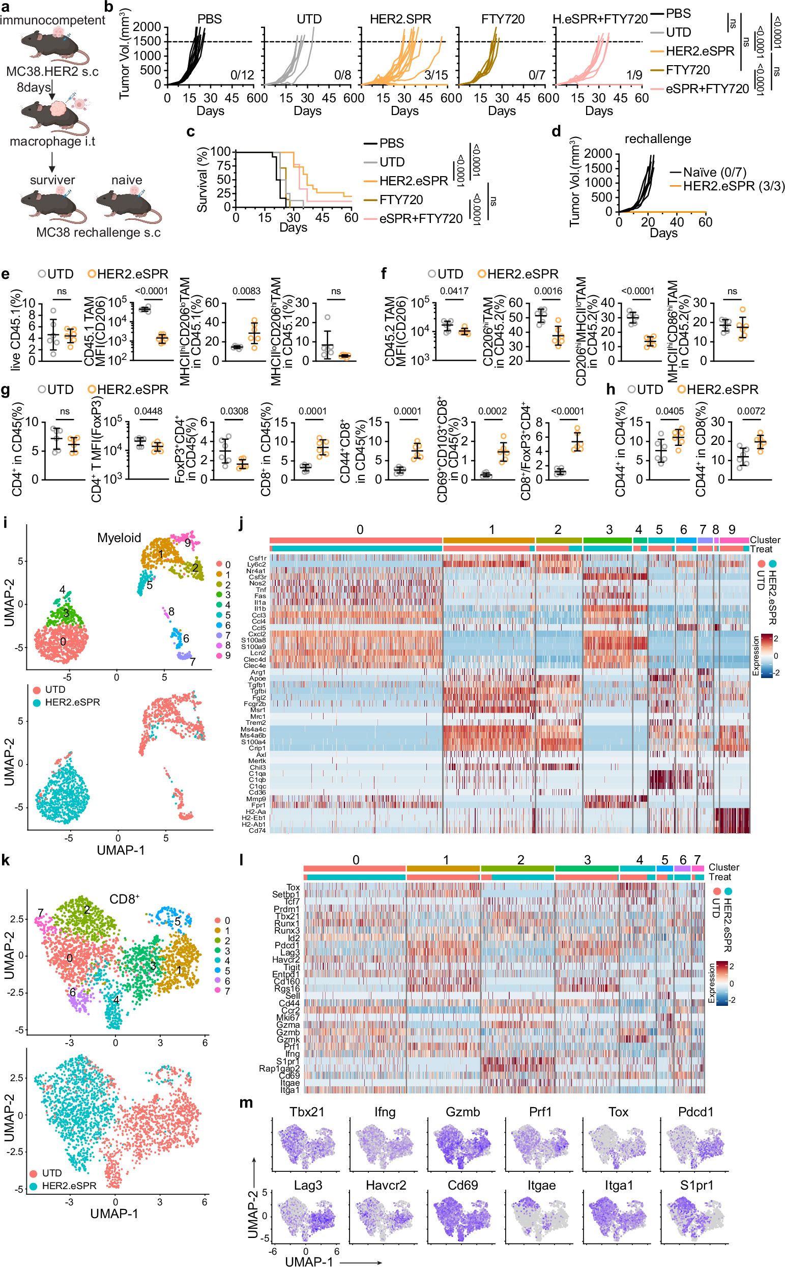 Fig. 5: eSPR macrophages induce durable in vivo anti-tumor immune responses and modulate the TIME.