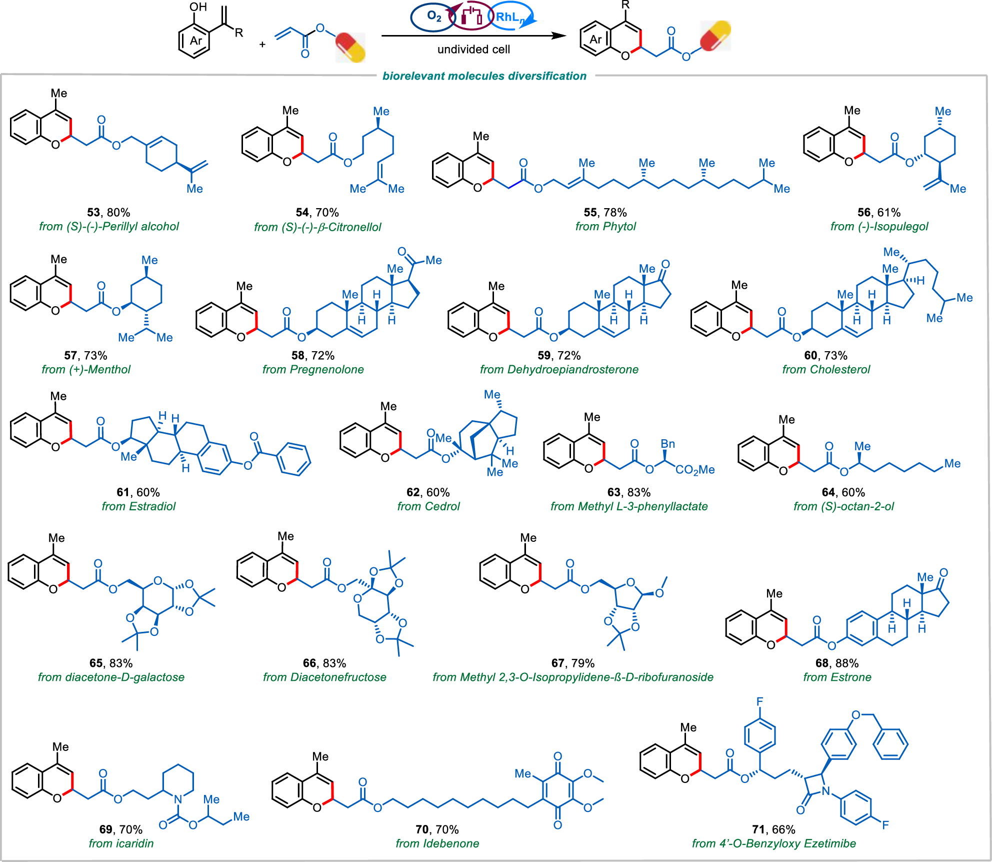 Fig. 3: Biorelevant molecules diversification of acrylate.