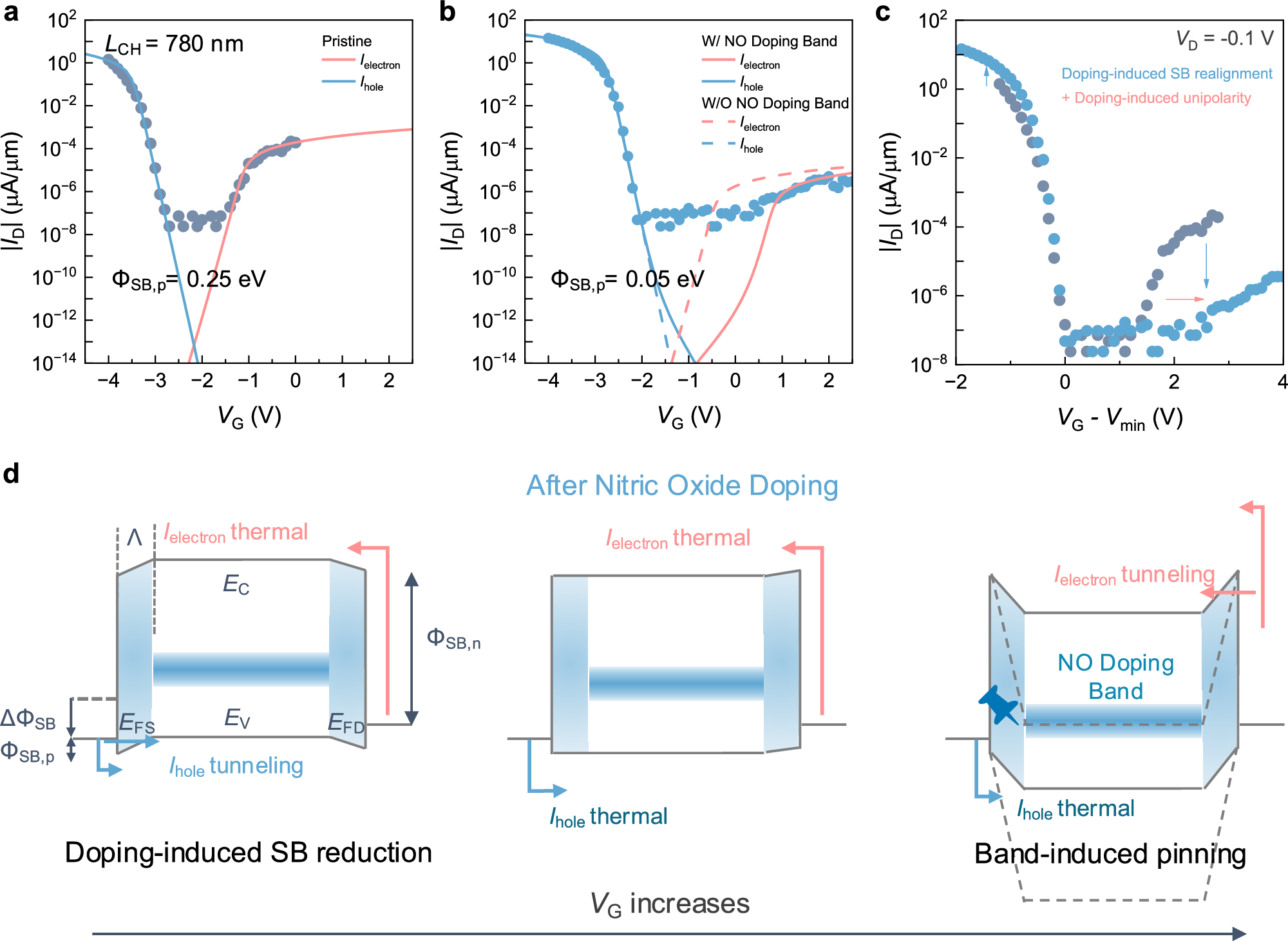 Fig. 3: The concept of doping-band induced unipolarity and Schottky barrier realignment.