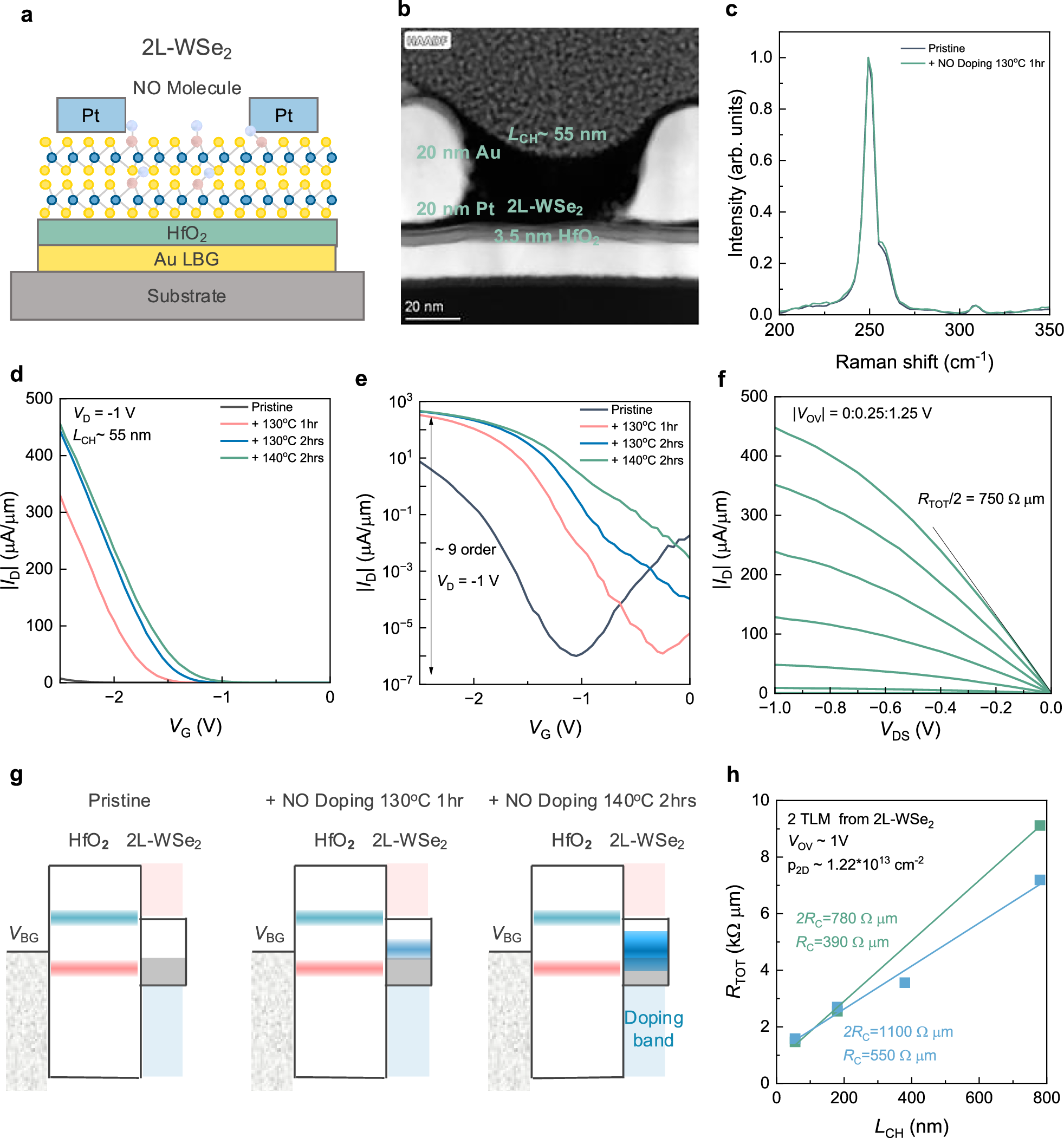 Fig. 6: High-performance NO-Doped 2L-WSe2 FETs with ultralow contact resistance.