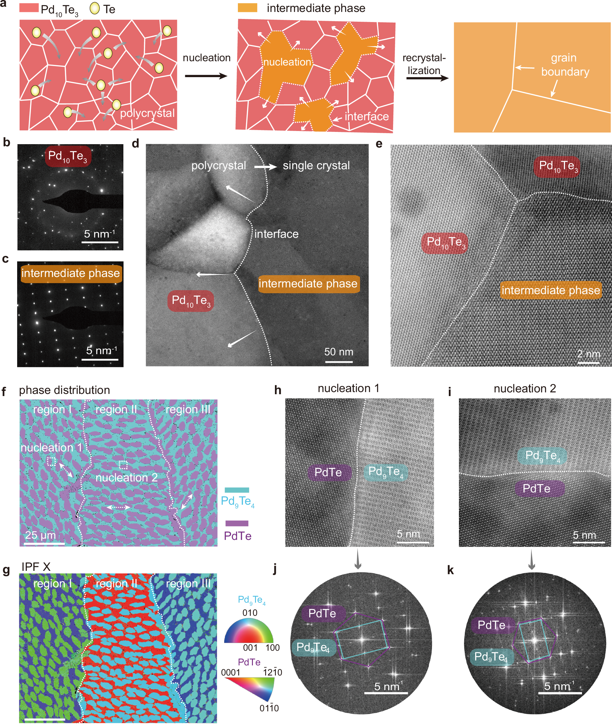 Fig. 3: Re-crystallization behavior and aligned nucleation.