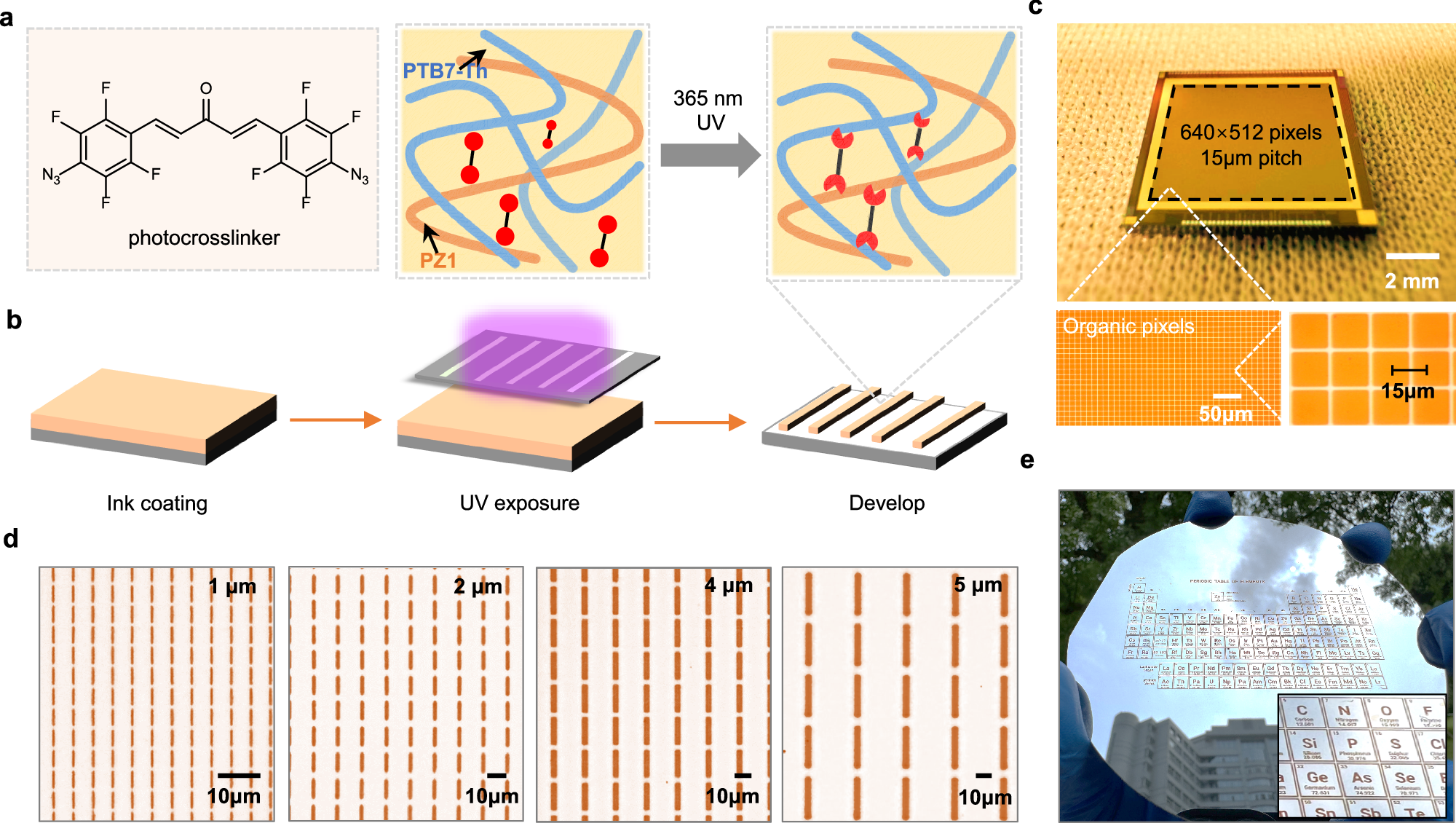 Fig. 3: Non-destructive photolithography of organic neuromorphic devices.